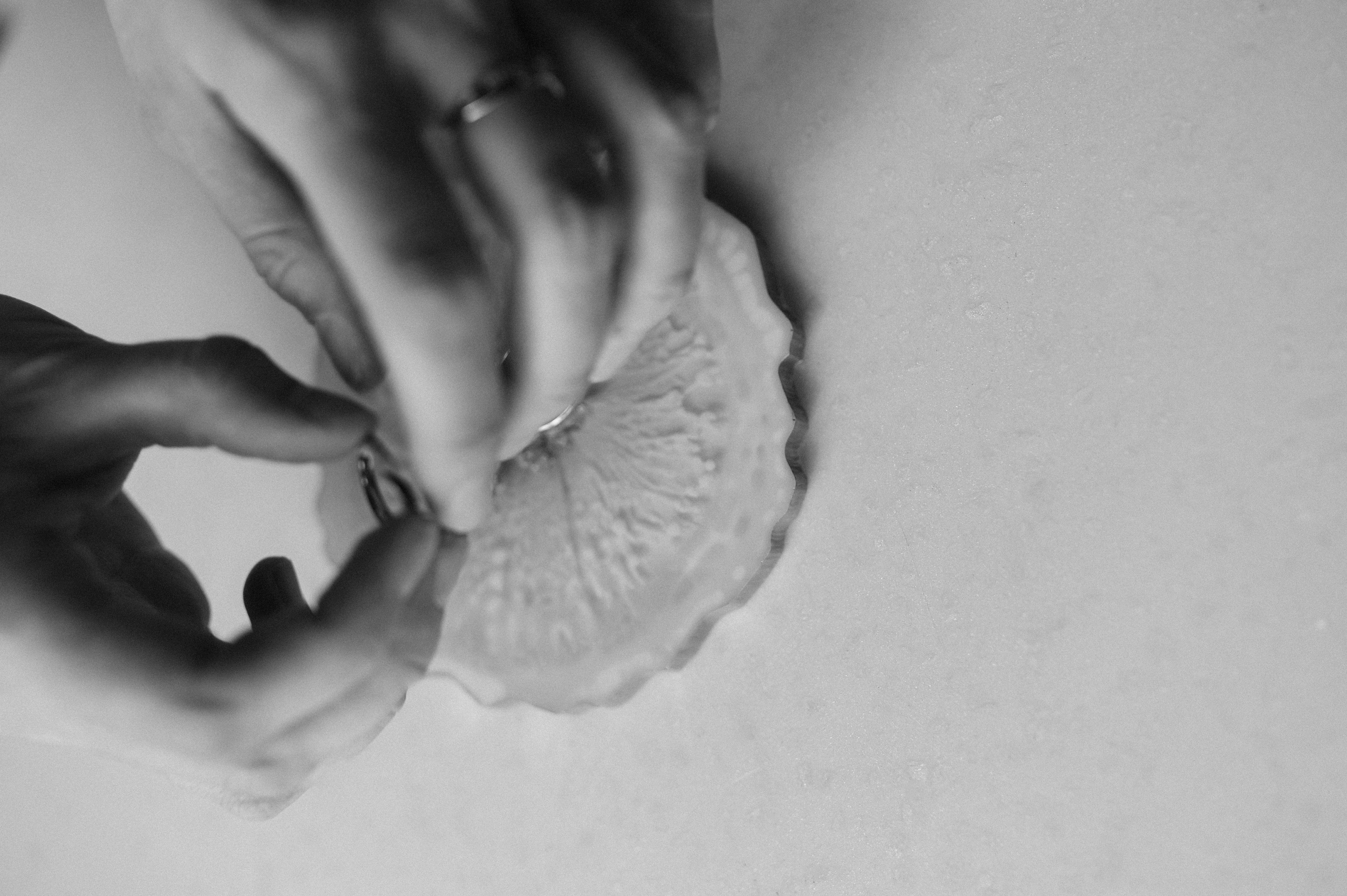 Бади 1+1. Свадебный фотограф в Москве Юлия Лисой