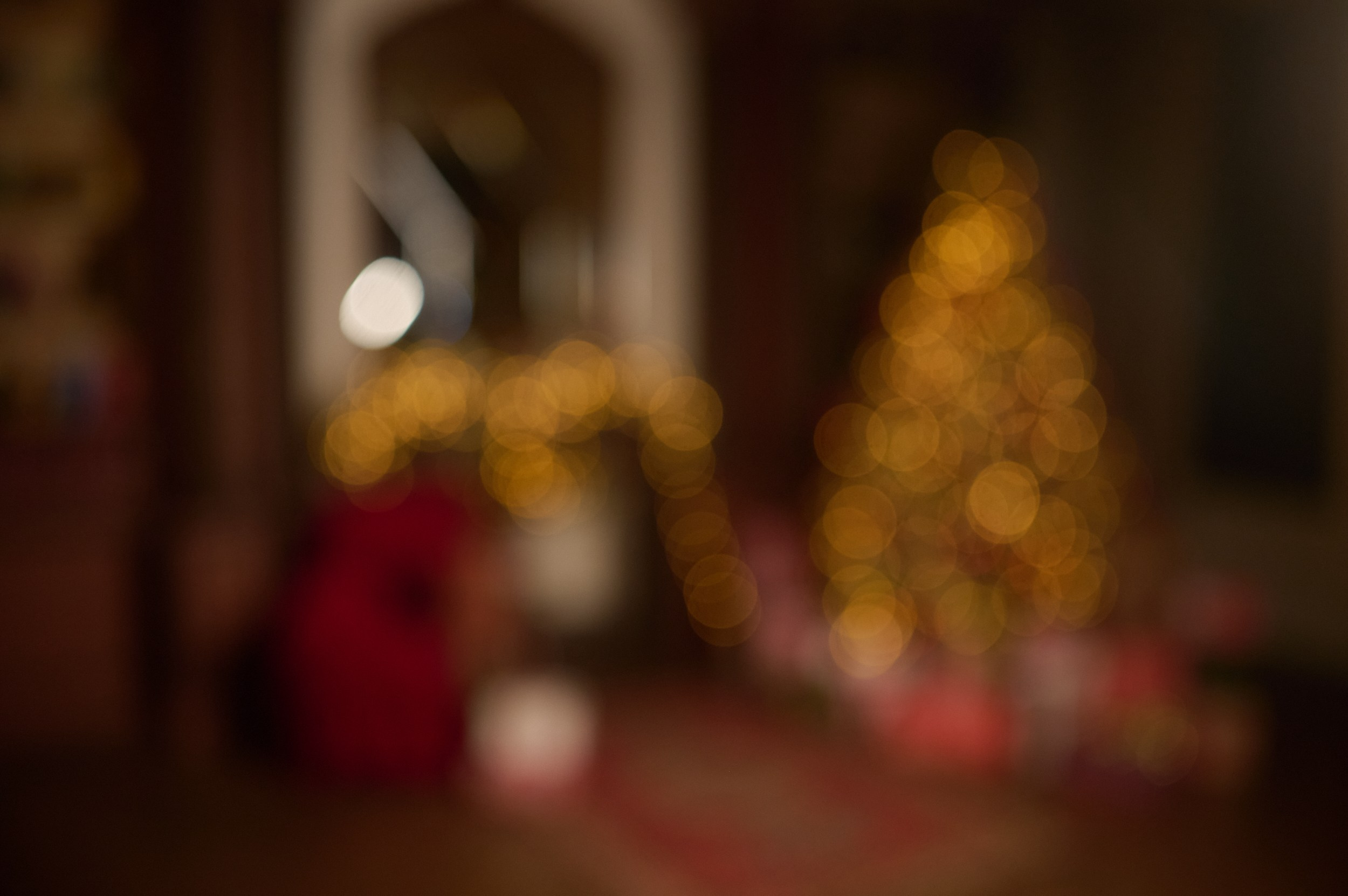 Фотостудия «Леона» зал Библиотека. Свадебный фотограф в Ростове Александра Груздева