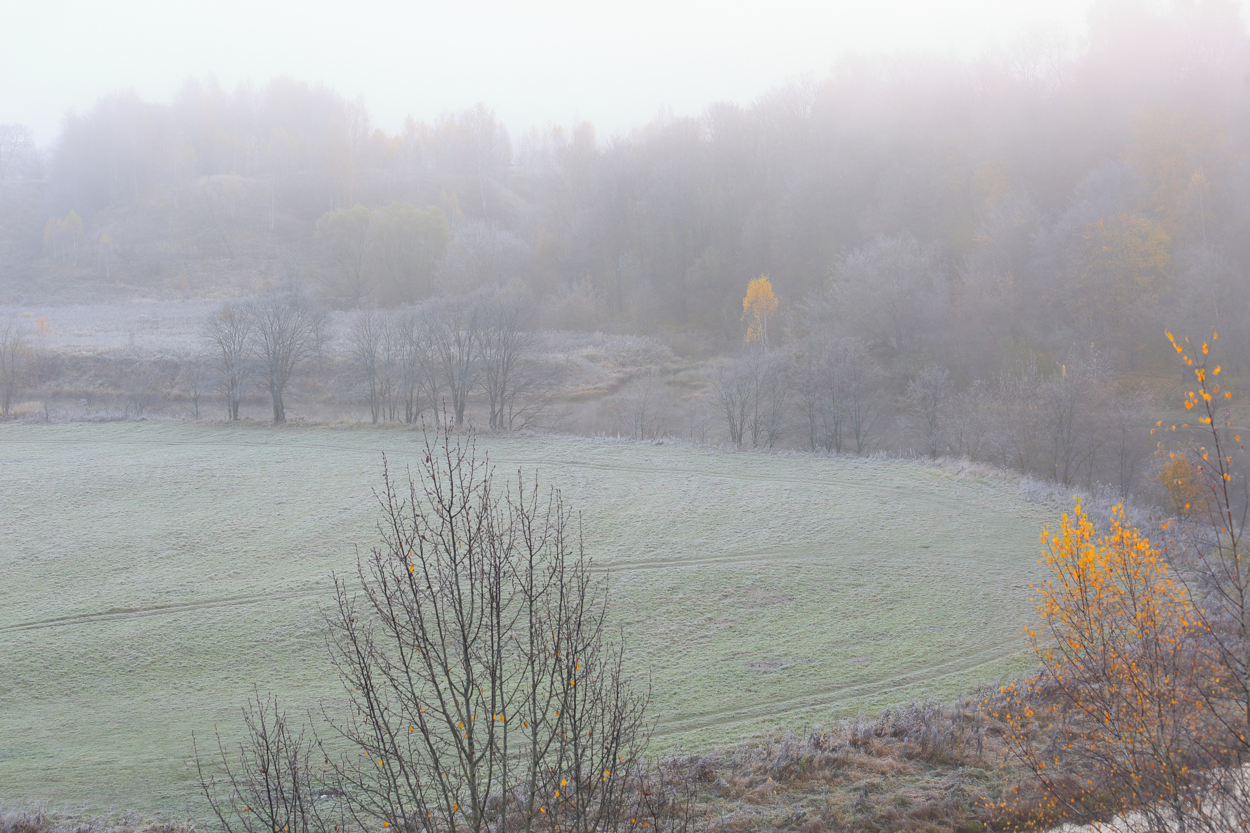 Туманный октябрь. Свадебный и репортажный фотограф в Ярославле и Санкт-Петербурге Роман Микрюков