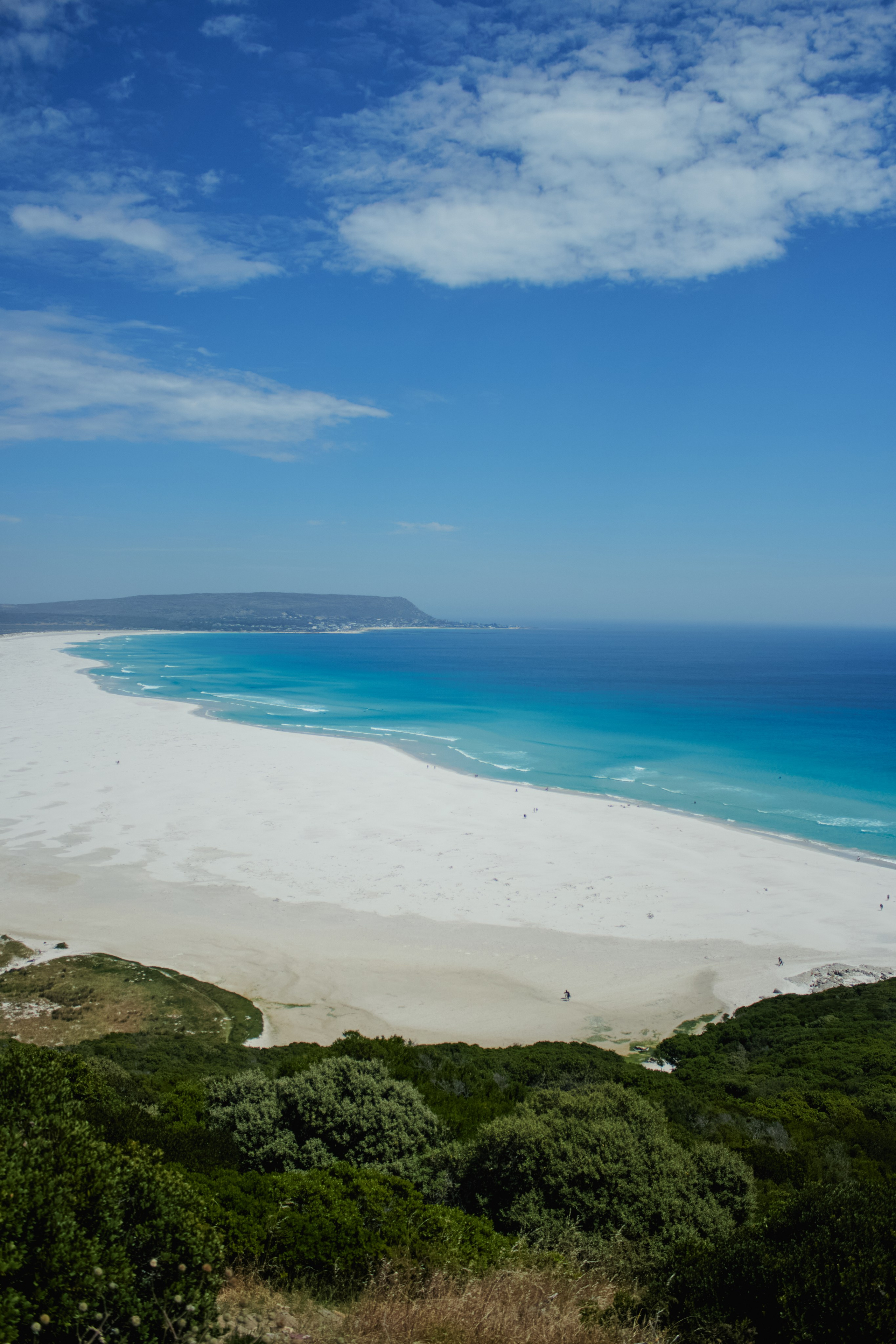 ЮАР. Профессиональный Фотограф во Владимире, в Москве и в Суздале — Полина Романычева