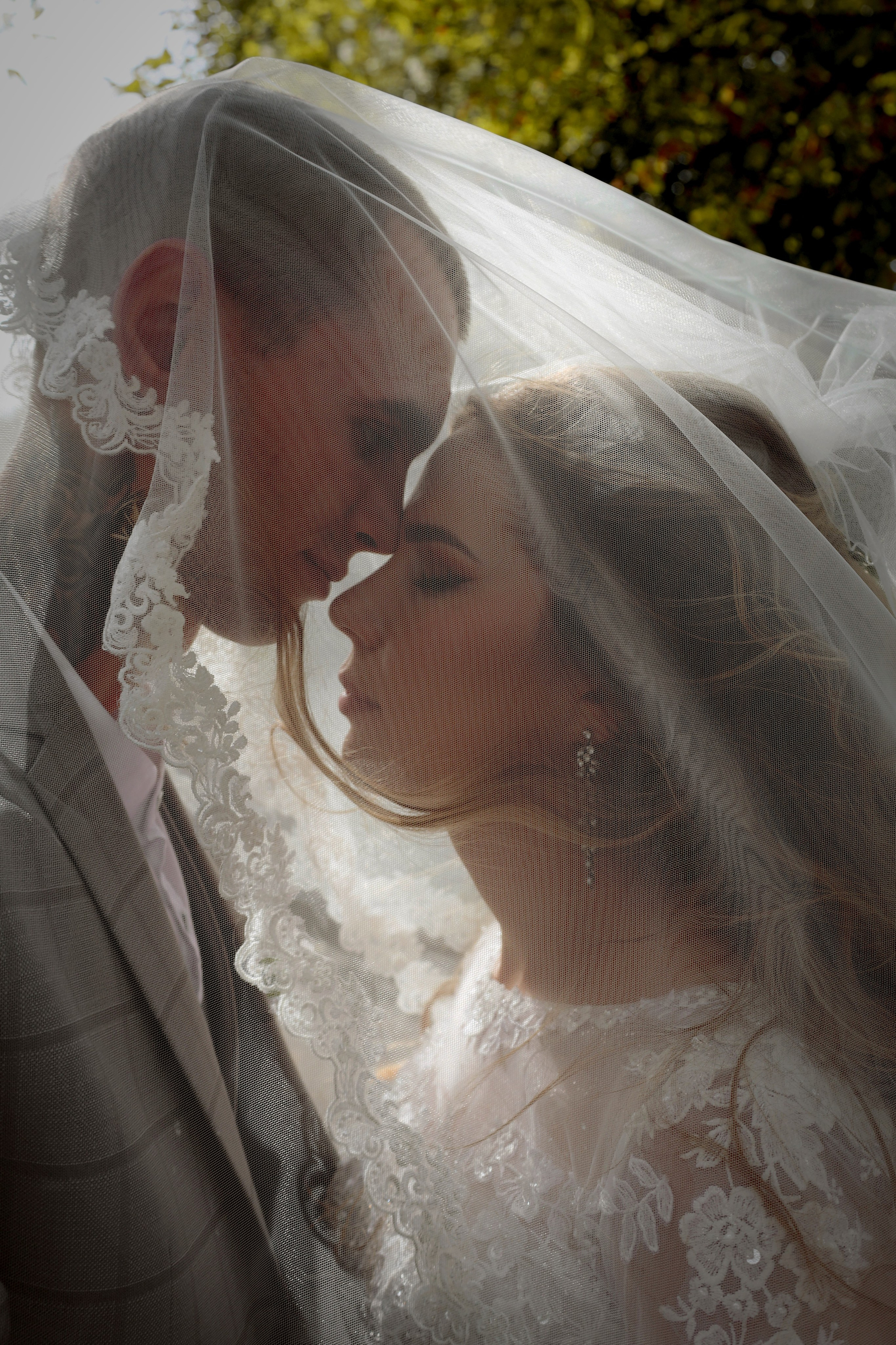 Алина и Дмитрий г. Шахты 31 августа 2024. Свадебный фотограф ростовская область