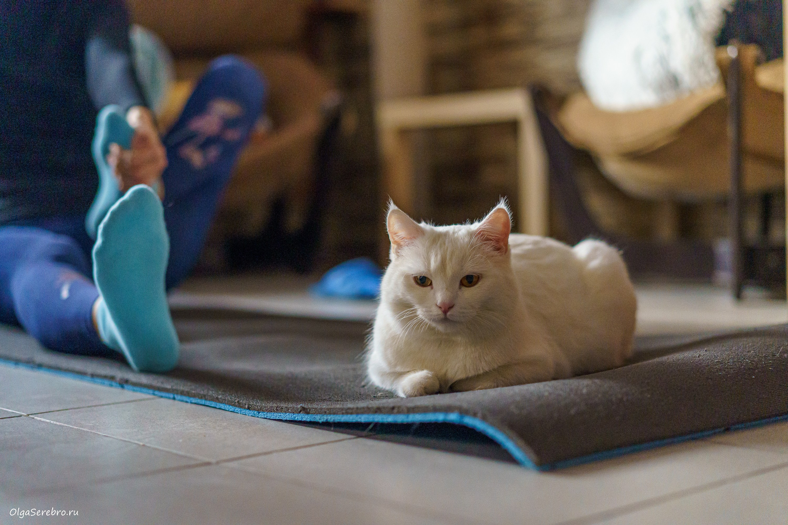 КОТОЙОГА. Фотограф Челябинск · Ольга Серебрякова