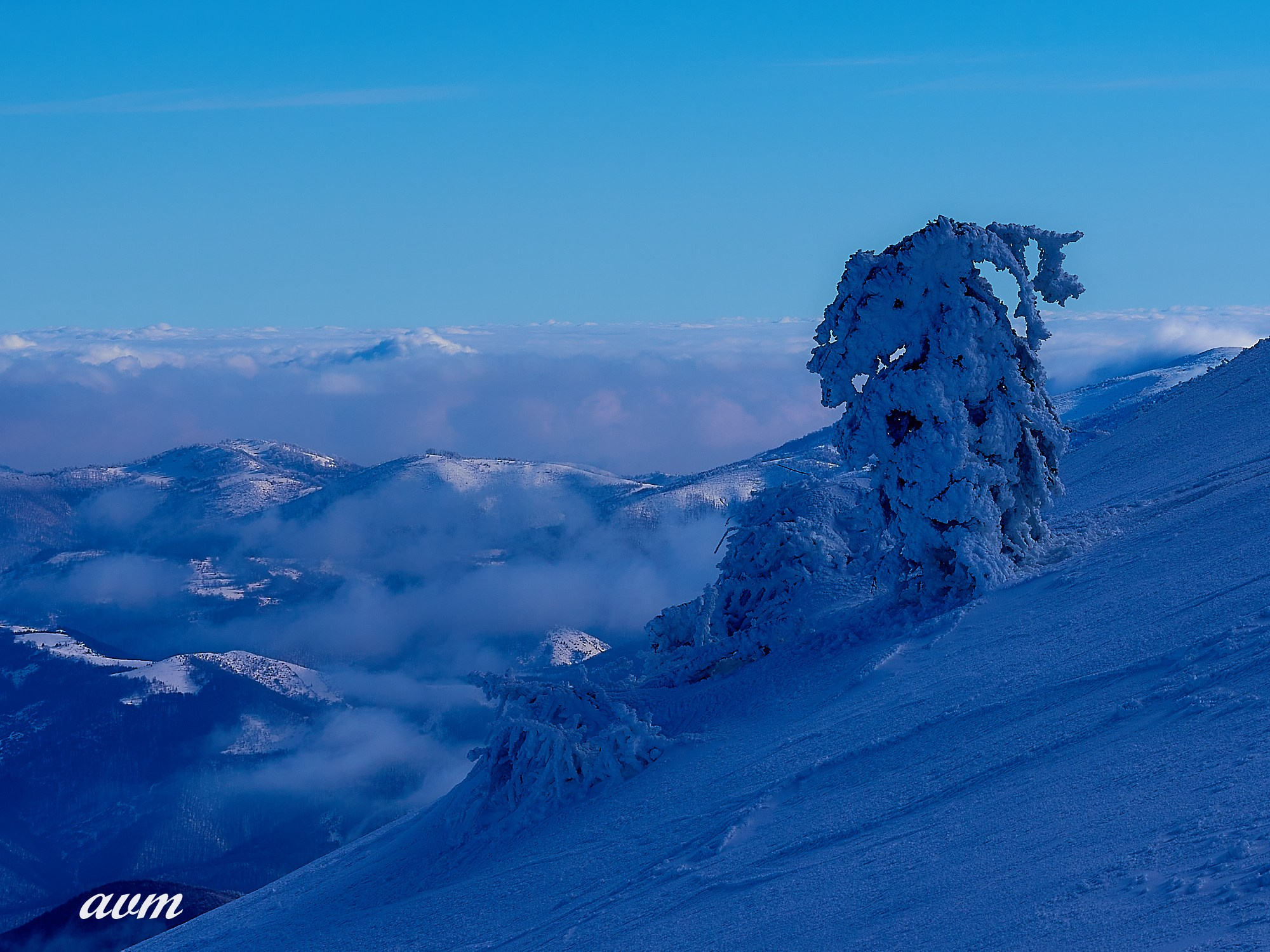 Капаоник-Белград Сербия Зима 2022. Фотограф Михеев Андрей