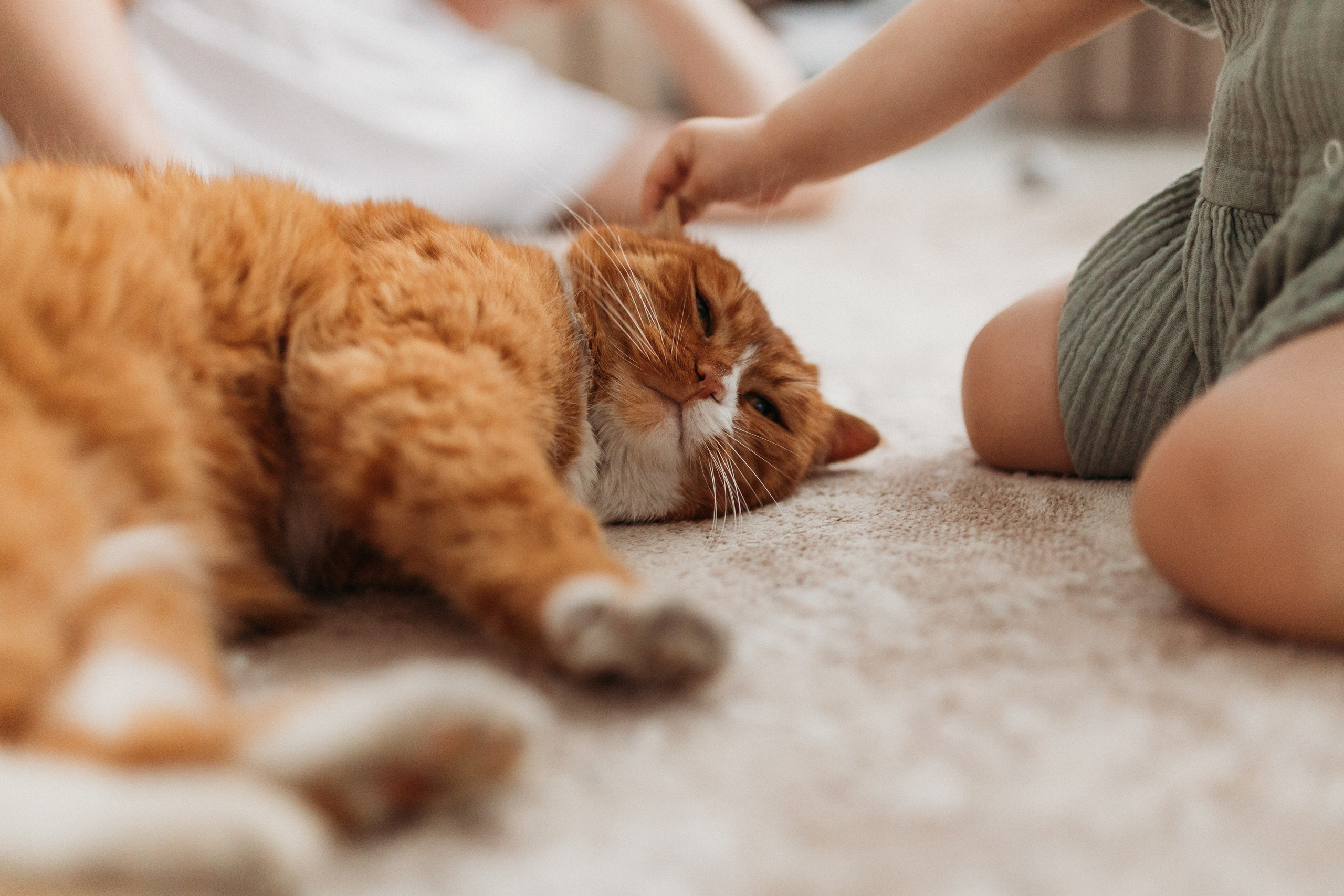 Домашняя фотосессия День Рождения Василисы. Фотограф Тверь. Свадебные, семейные, индивидуальные фотосессии
