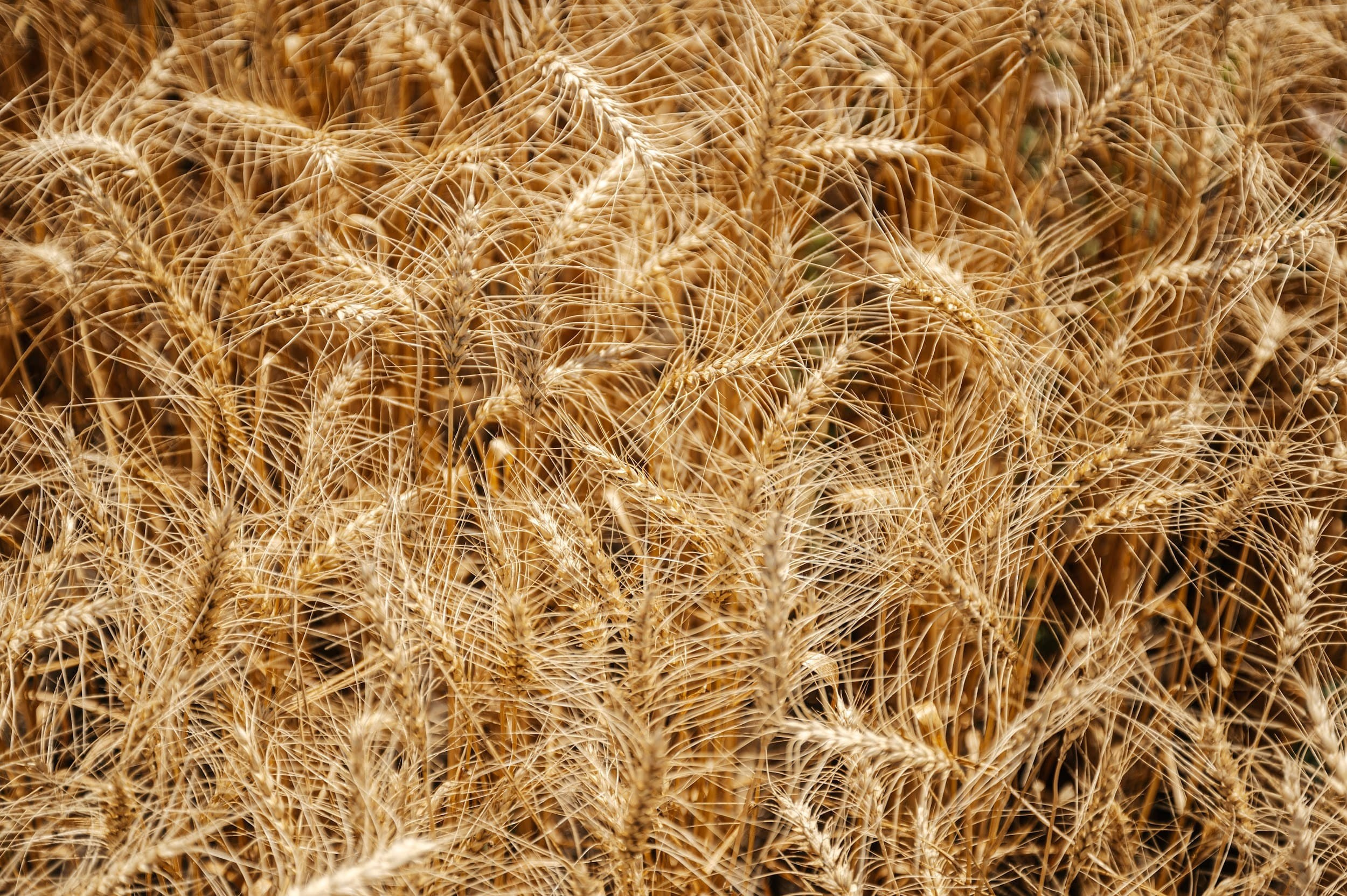 ЭКОНИВА. Владимир Дьяконов — Индустриальный и репортажной фотограф в России