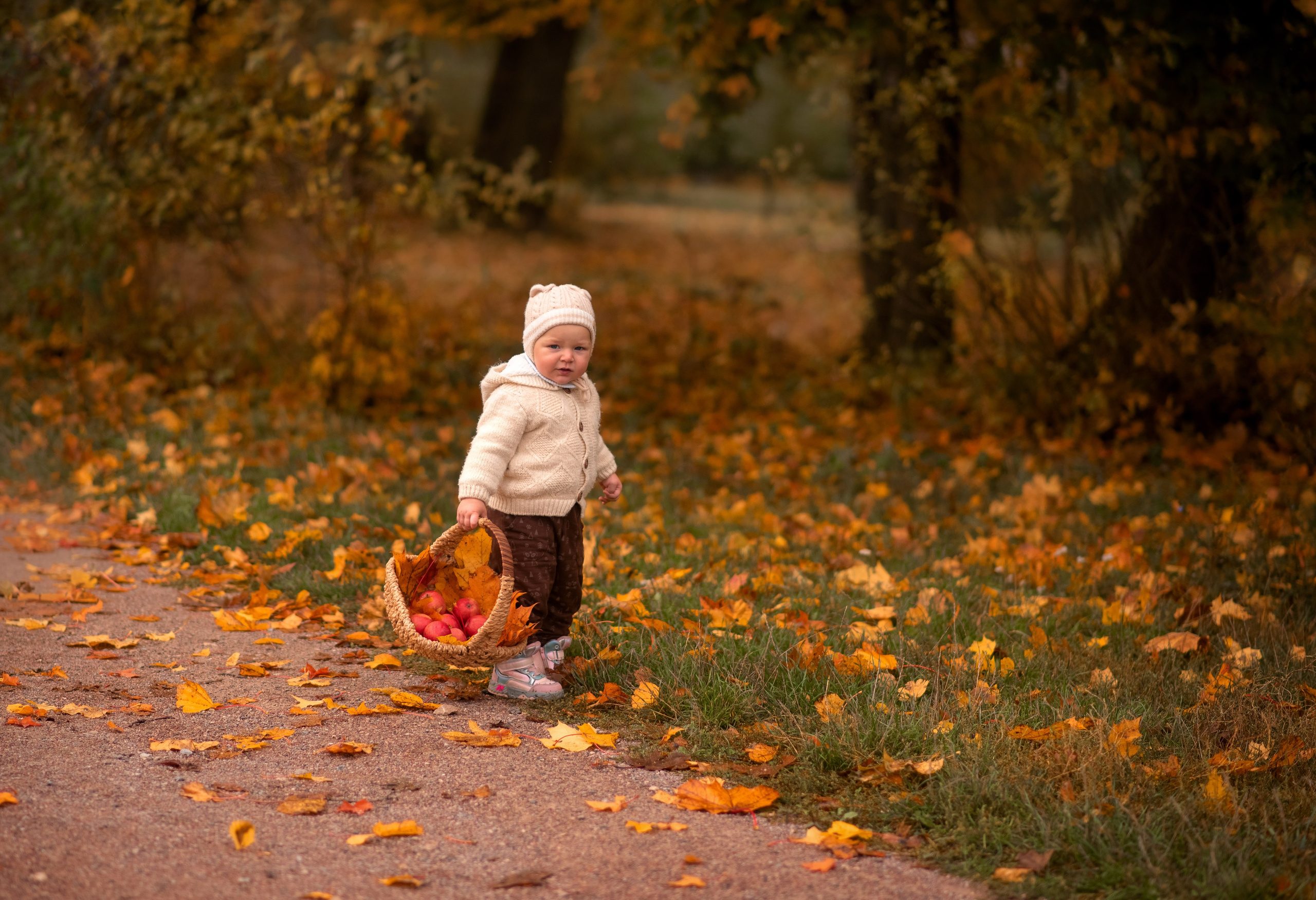 Семейная фотосессия в Ясной Поляне. Осень. Семейный и детский фотограф в Туле Светлана Воронкова