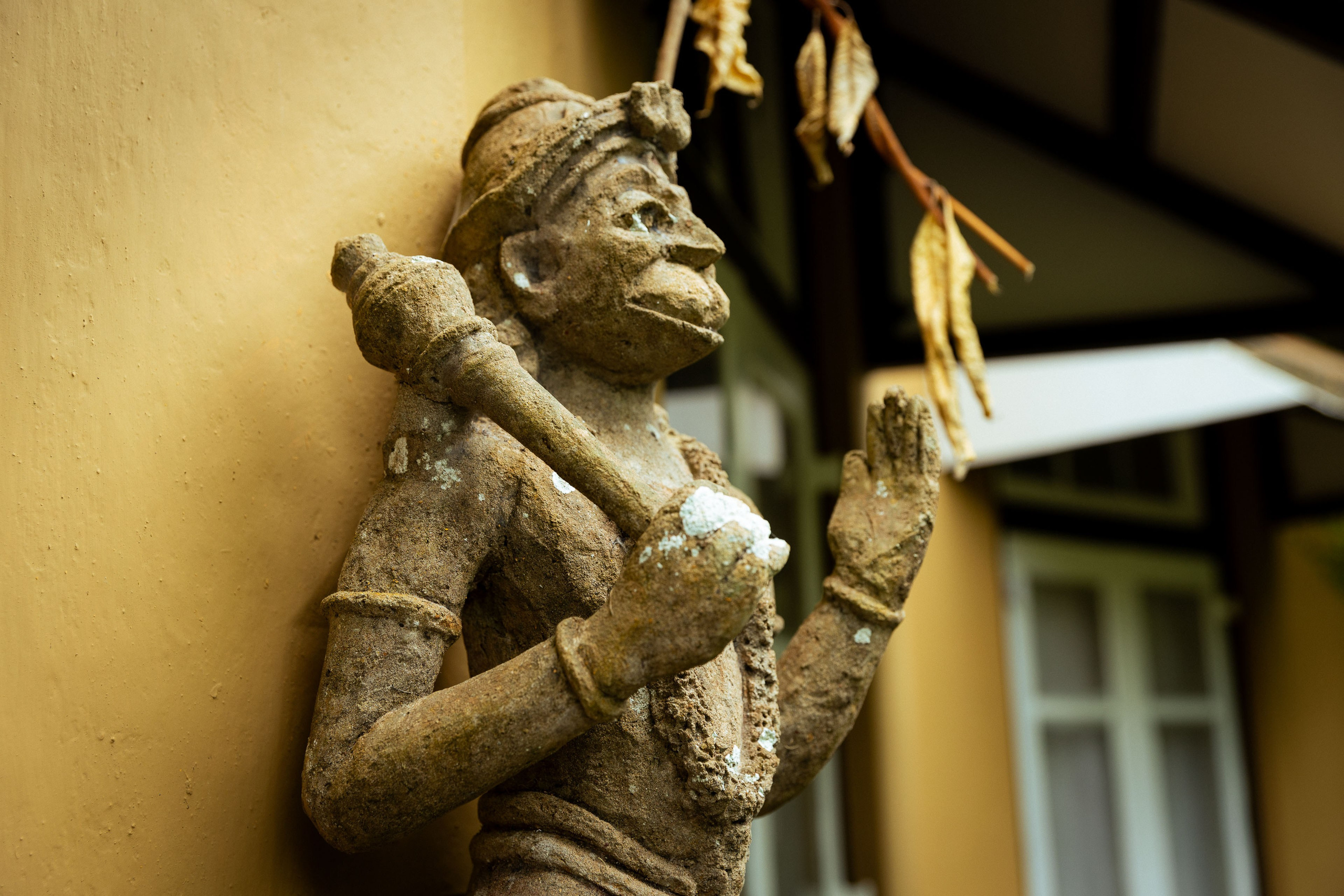 Шри-Ланка (весна 2024). Фотограф Виноградов Константин