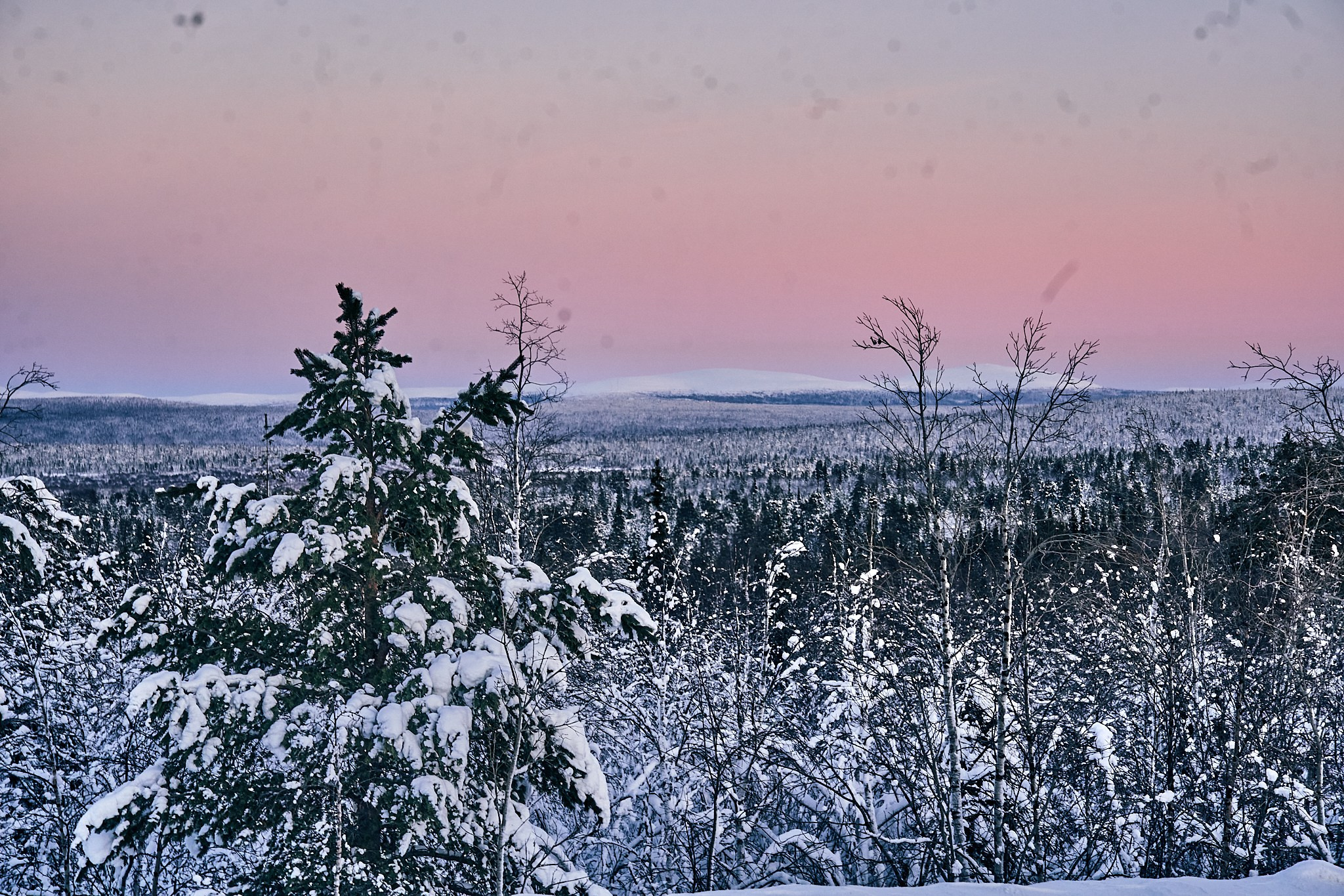 Путешествие В Арктику в 2024 году. Внедорожные путешествия — OFFROADTRIP