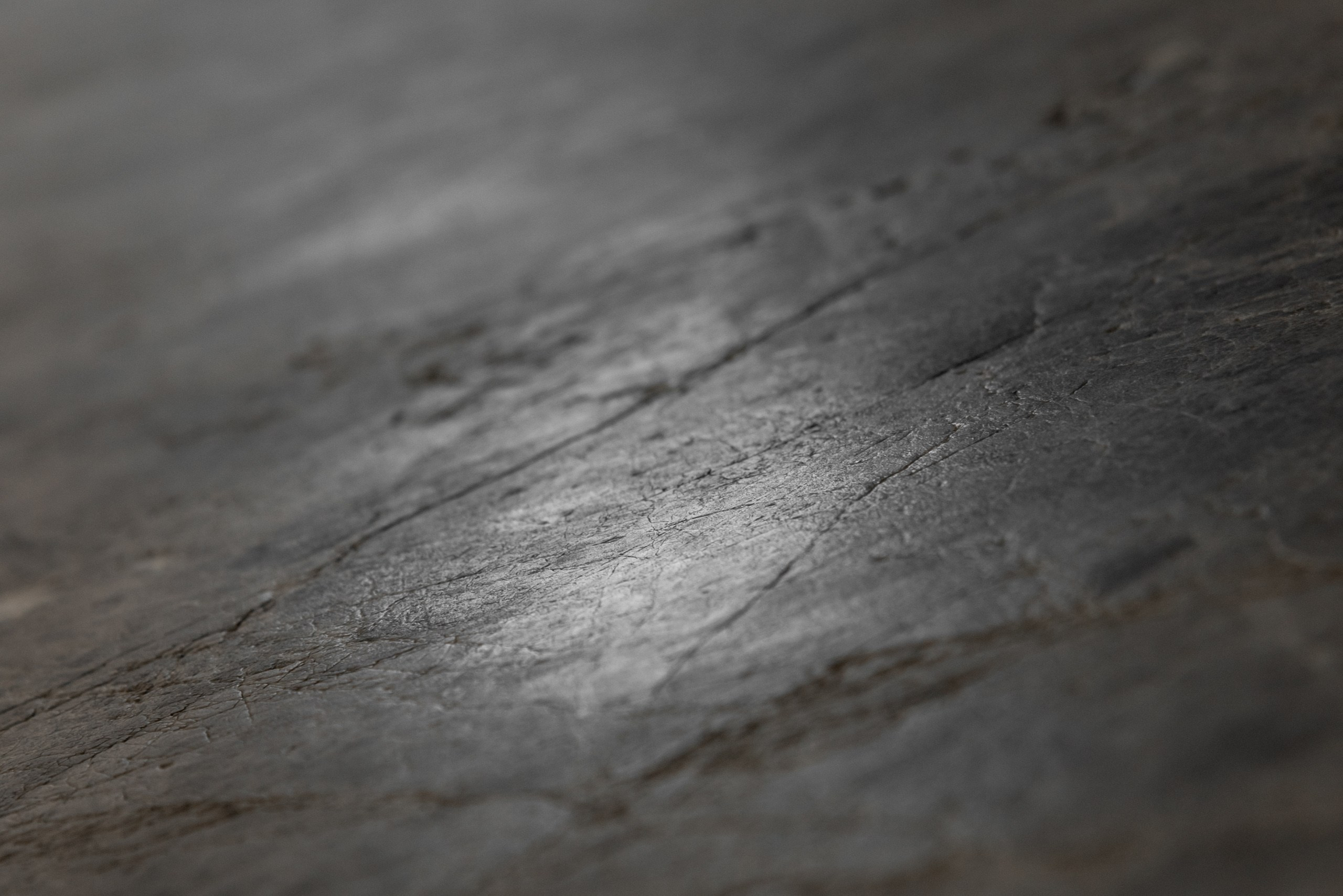 КОШКИН ДОМ | 2025. Архитектурный фотограф и 3D-художник Антон Мельников