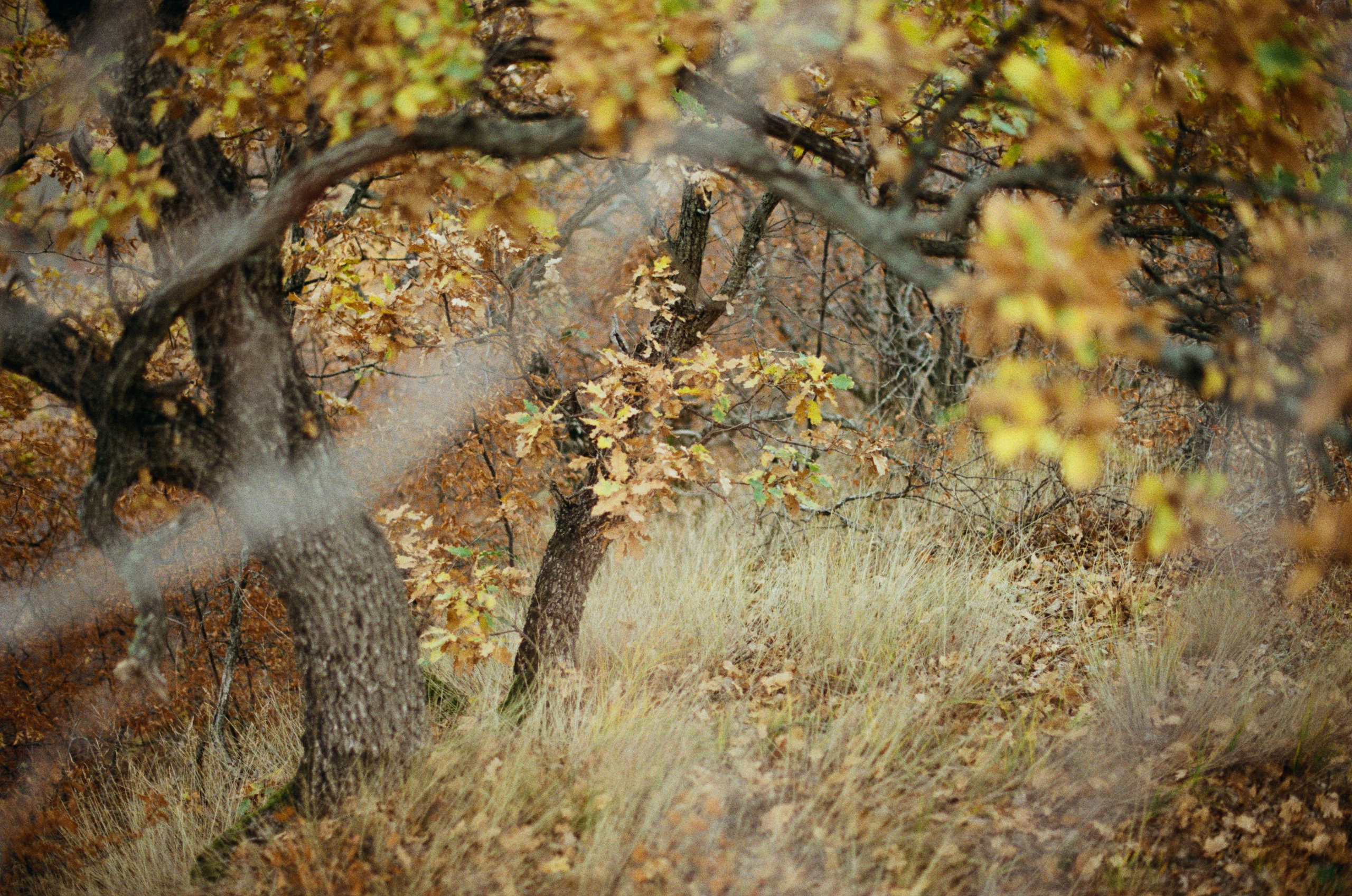 Wherever you will go // ukraine, crimea V. EVER EXPOSED