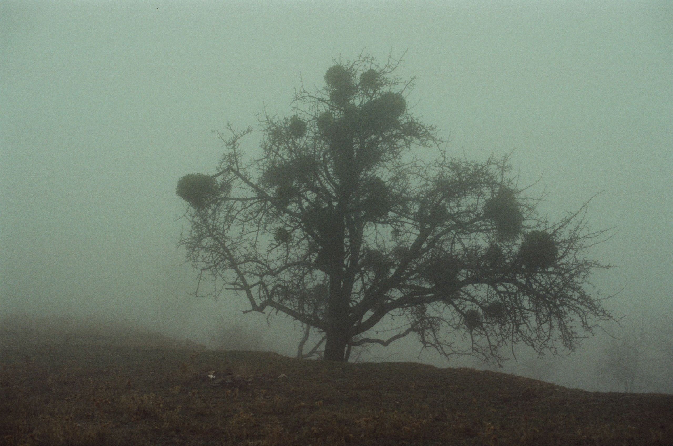I o u // ukraine, crimea. EVER EXPOSED
