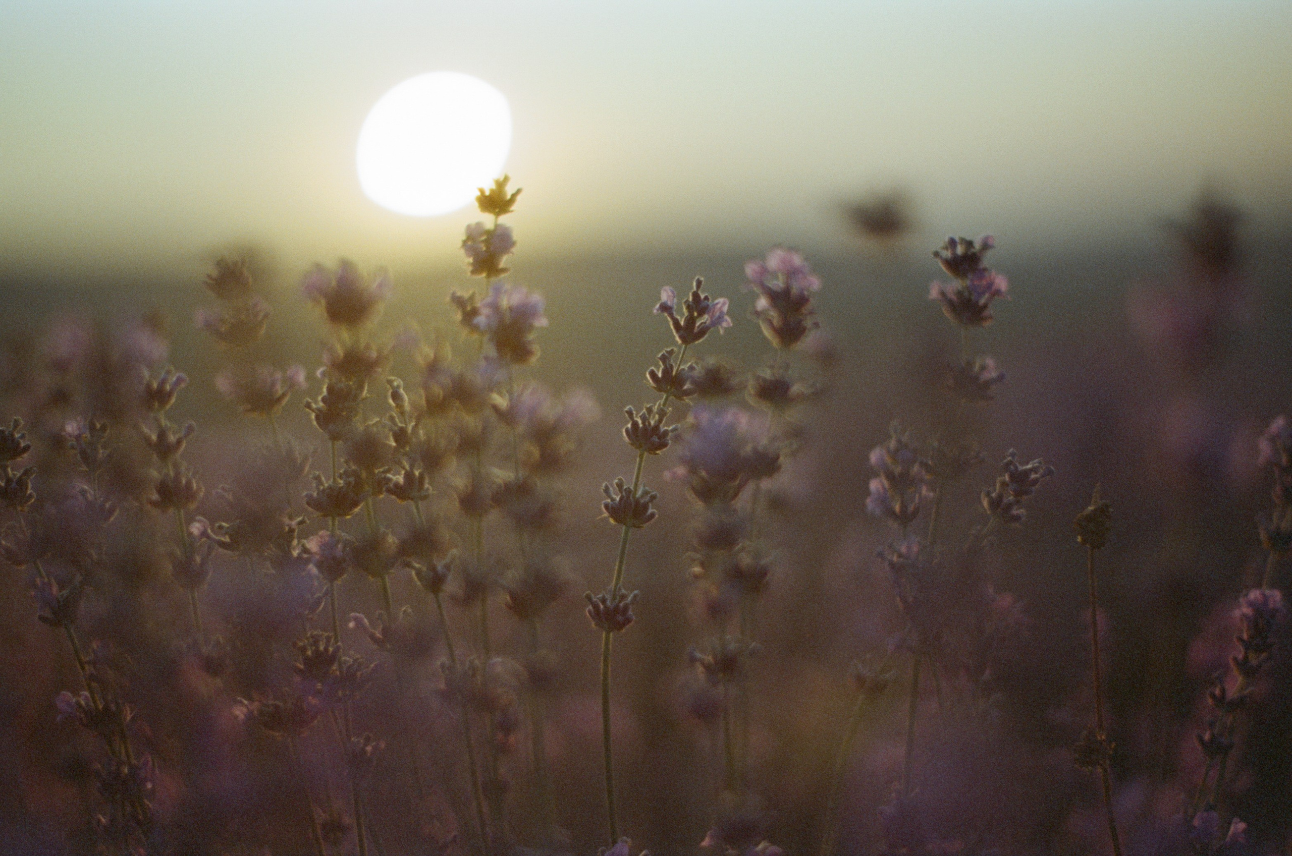 Silent running // ukraine, crimea V. EVER EXPOSED