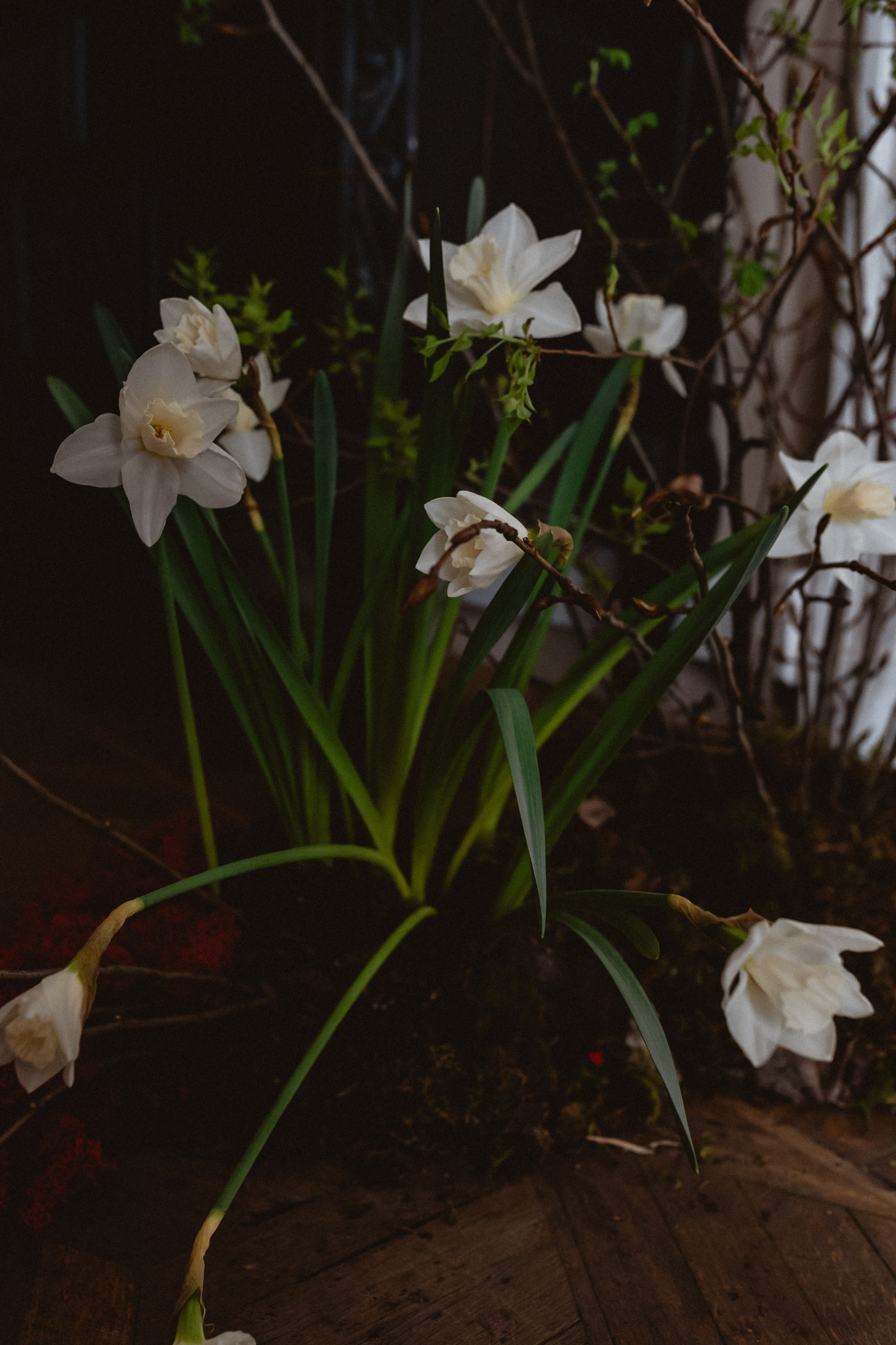 Эрнест & Аня. Оформление свадеб, декор свадеб Вера Маркова, Москва