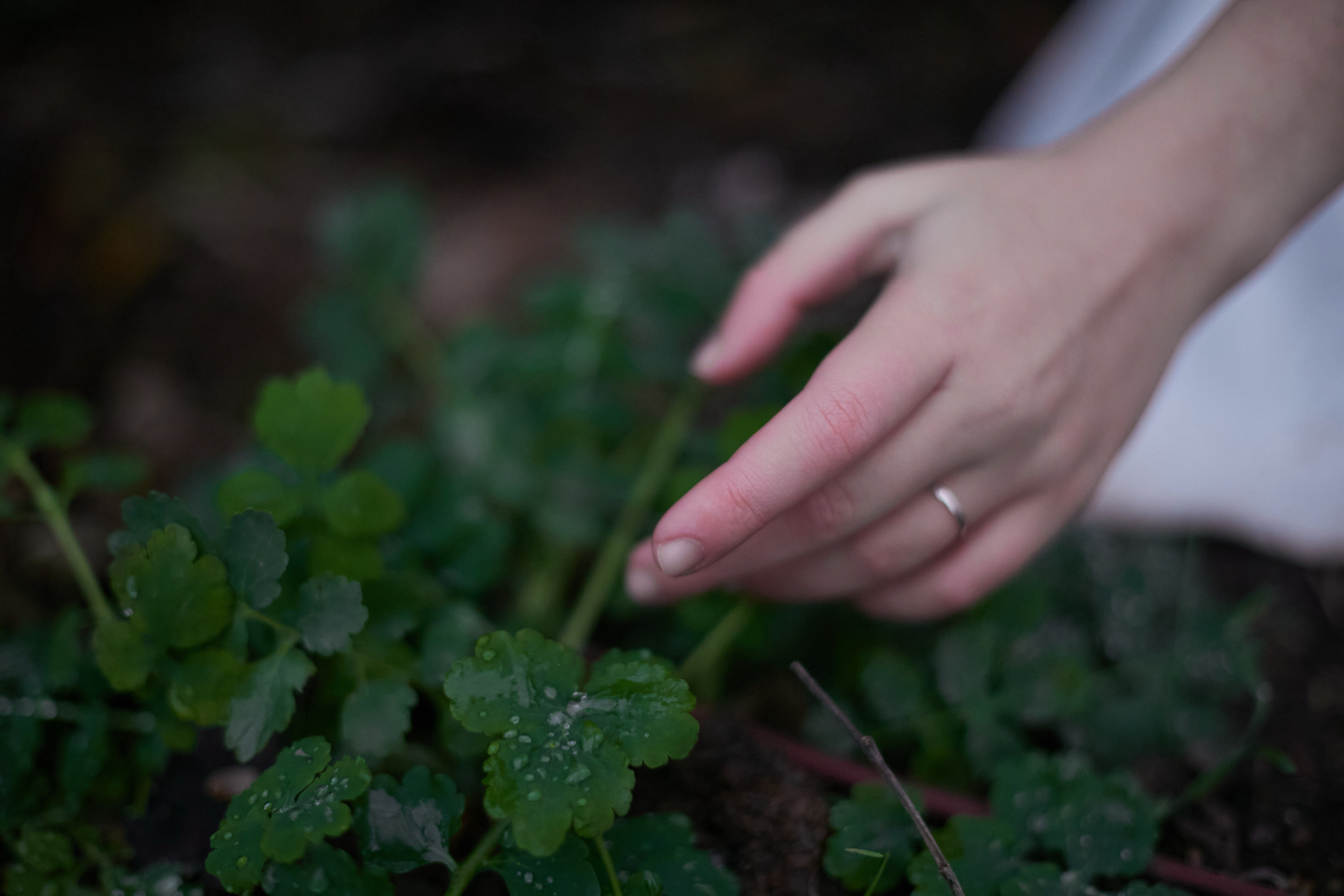 «Где-то в декабре…». Свадебный и креативный фотограф в ЮФО и МСК