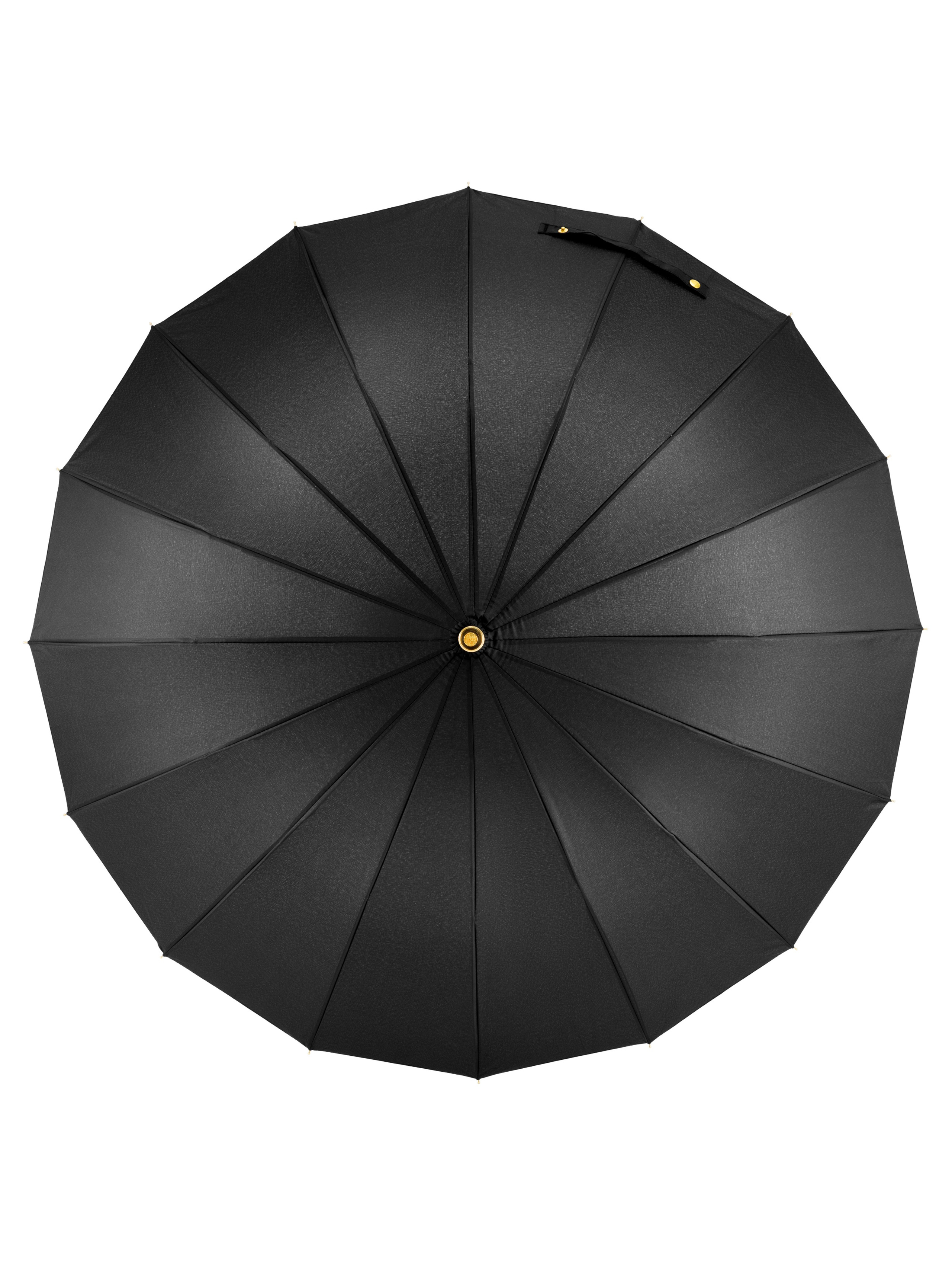 Зонт. Инфографика. Предметный Фотограф Москва