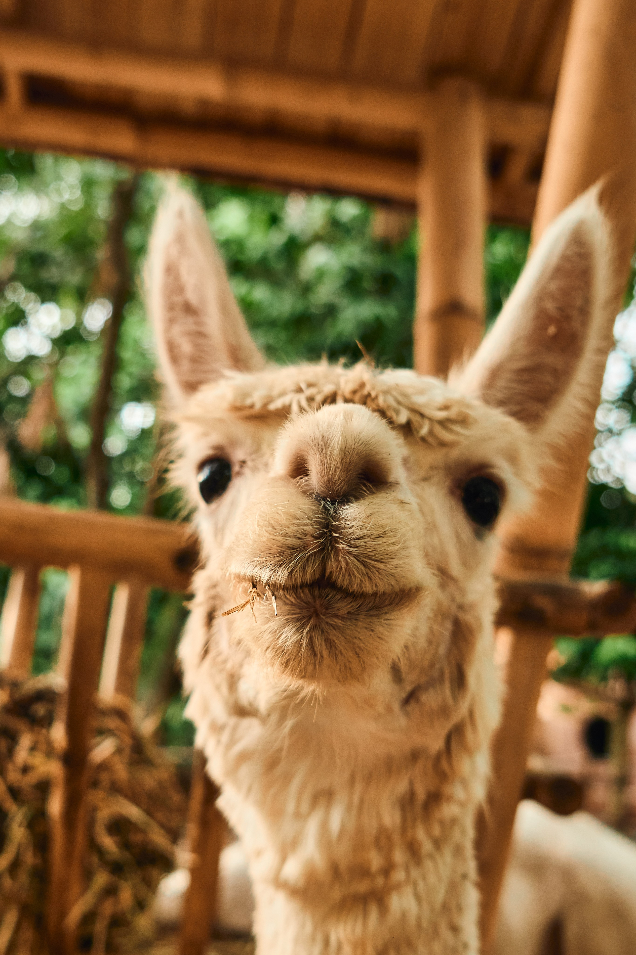 NuanuResort. See the moment and catche. commercial and reportage