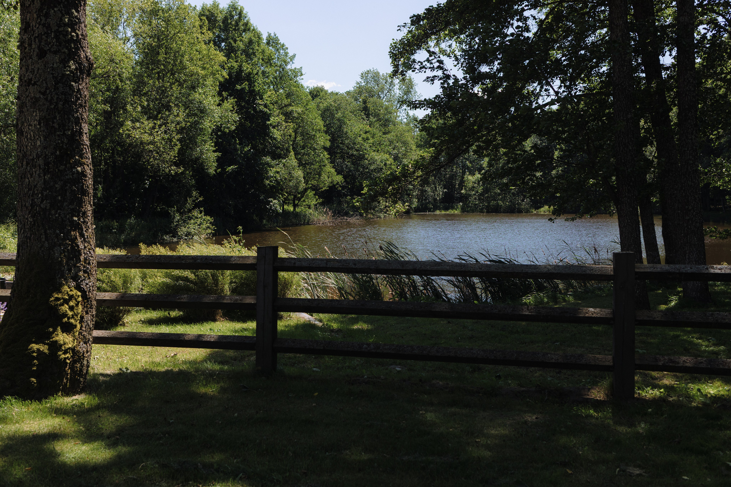 Свадебная фотосъемка в «Двор Стайки»