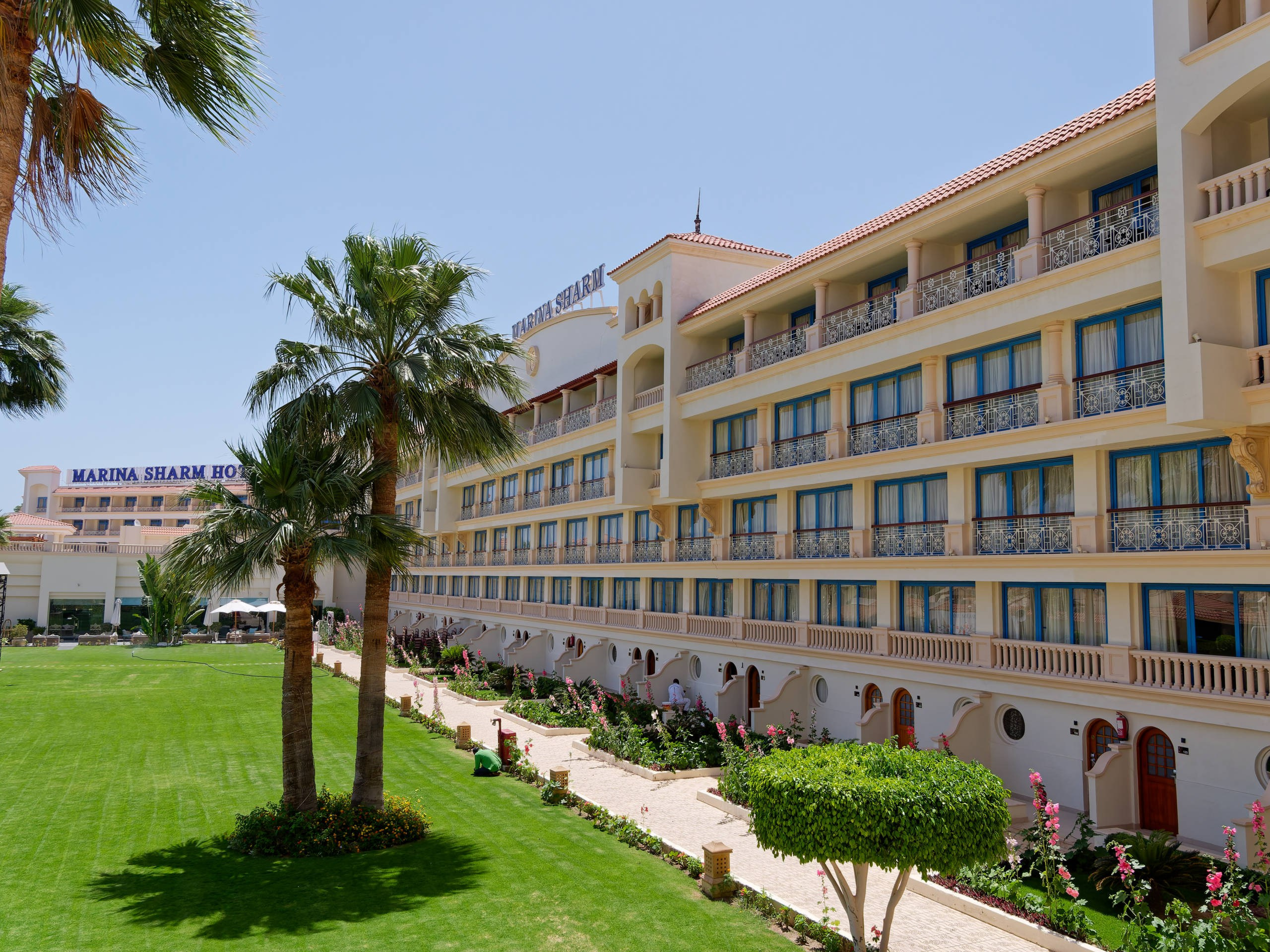 Шарм-эль-Шейх 2022 (1). Избранные фотографии