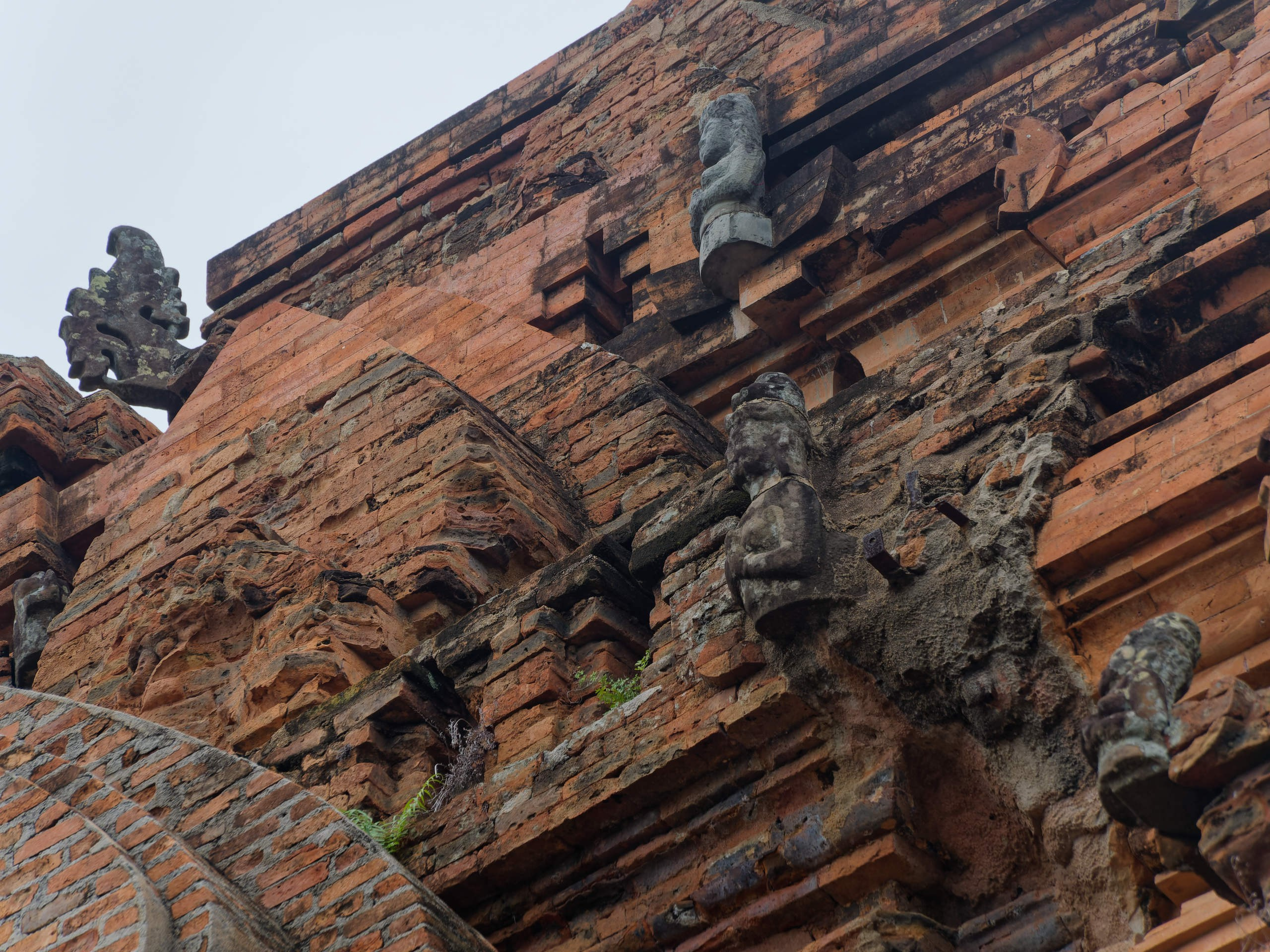 Нячанг 2025 (4). Избранные фотографии