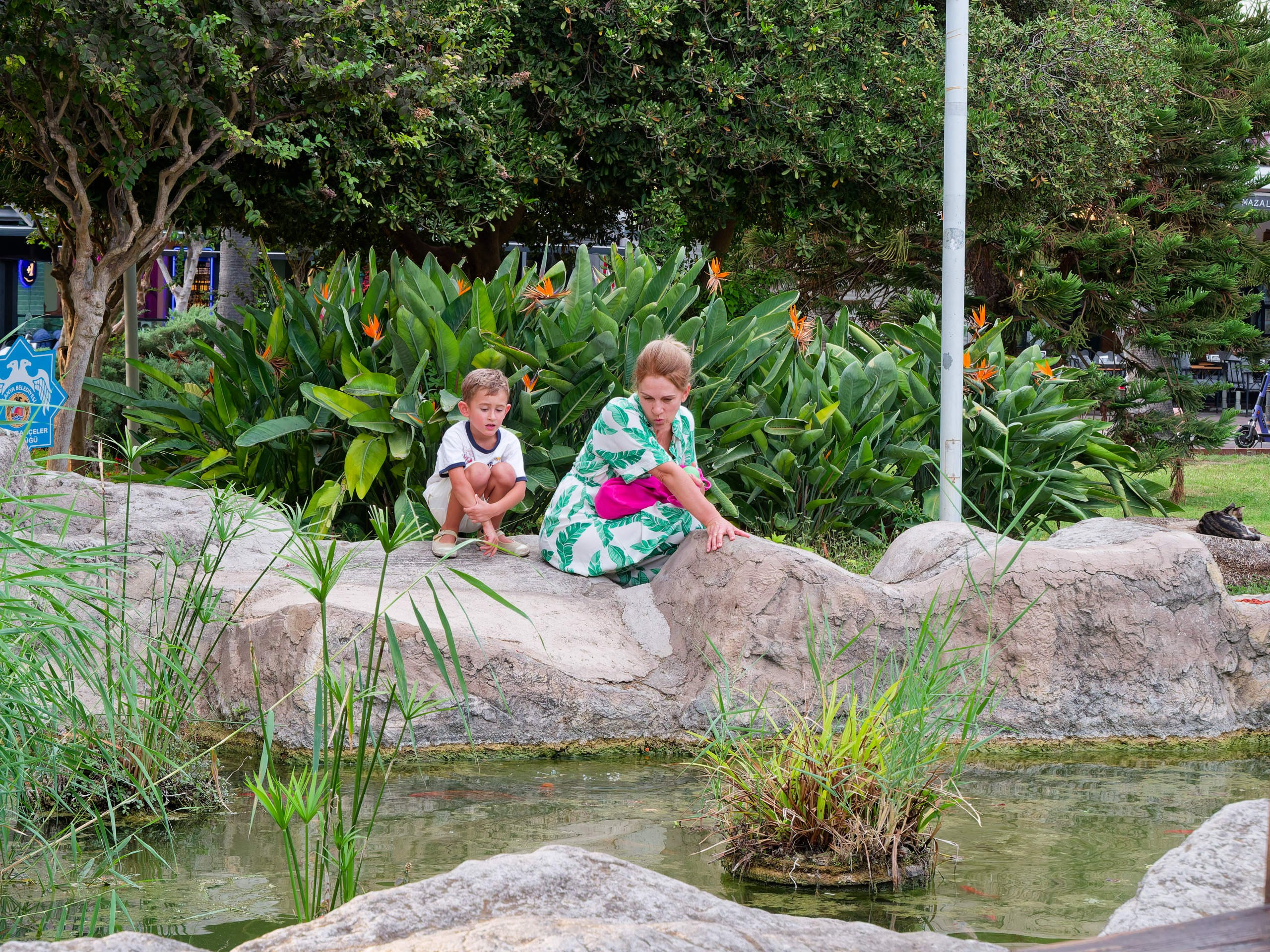 Алания 2025, порт и парк. Избранные фотографии