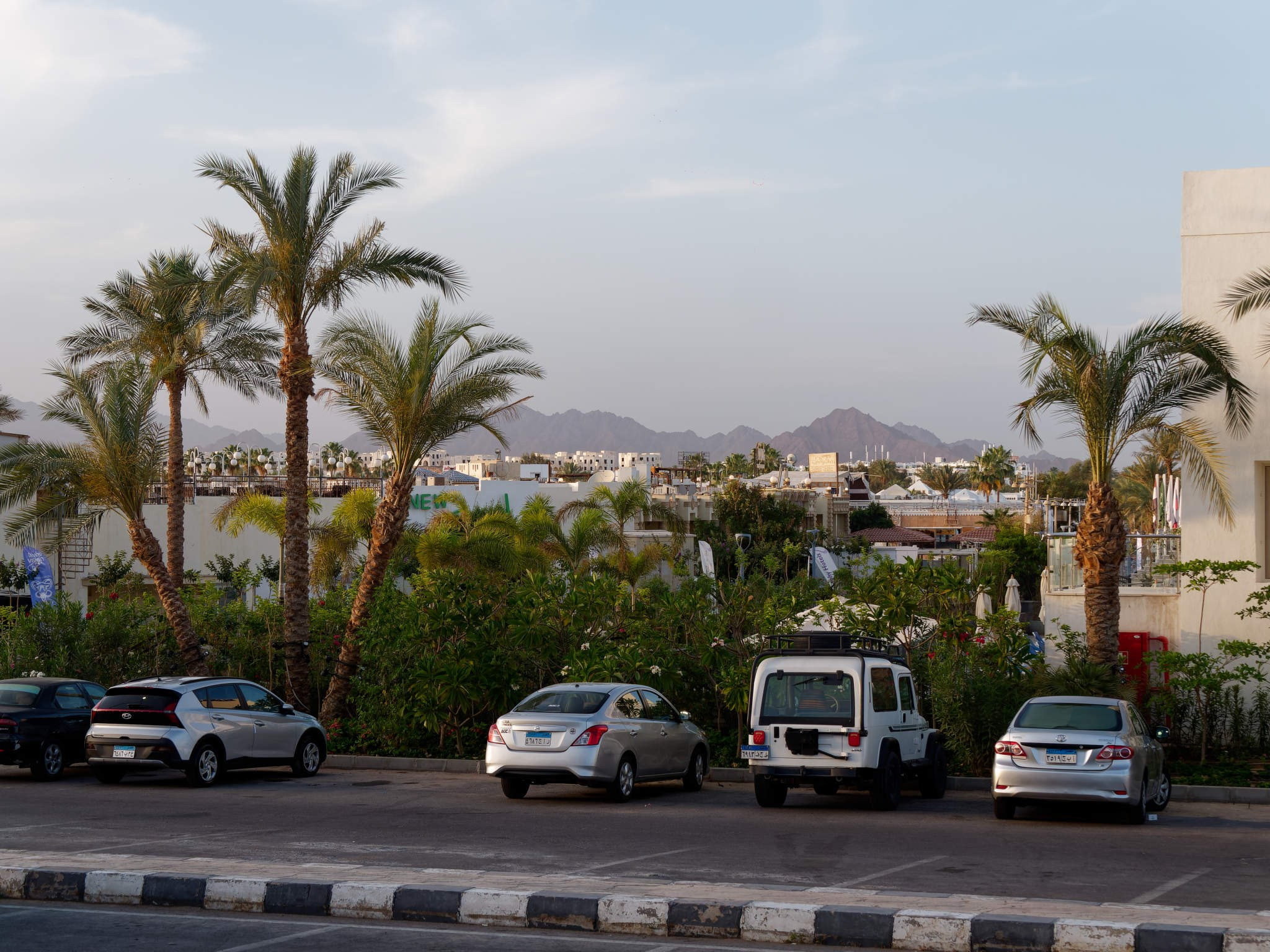 Шарм-эль-Шейх 2024. Избранные фотографии