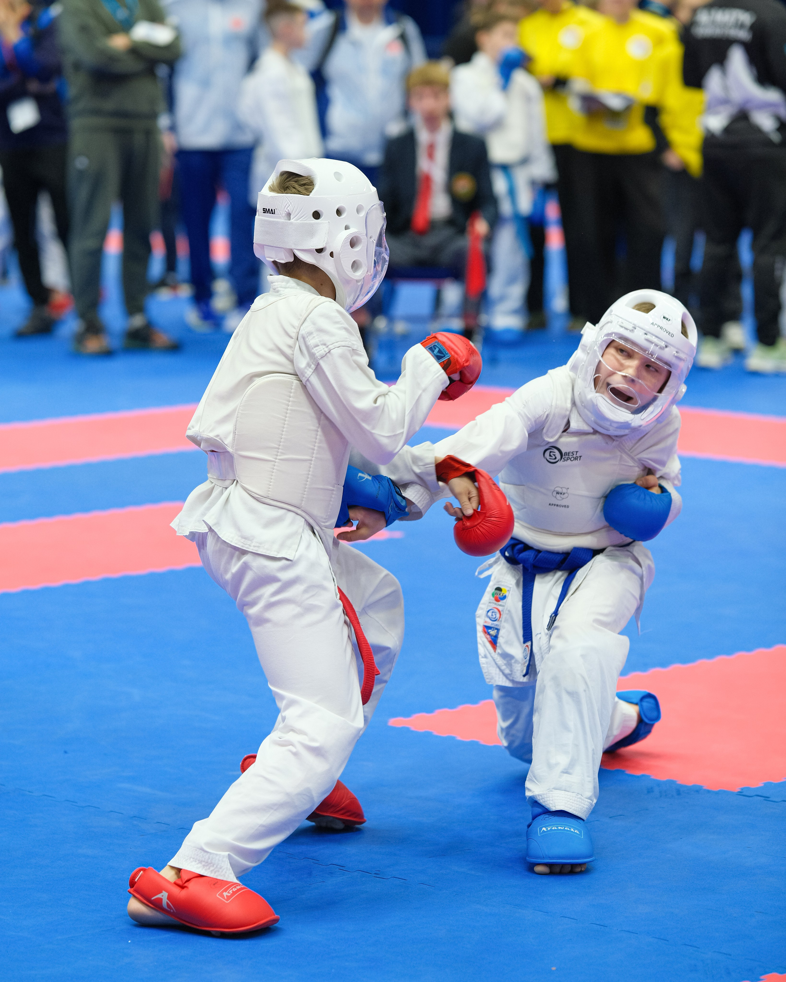 Международный турнир по карате «Belarus Open». Https://www.instagram.com/paparrazzio