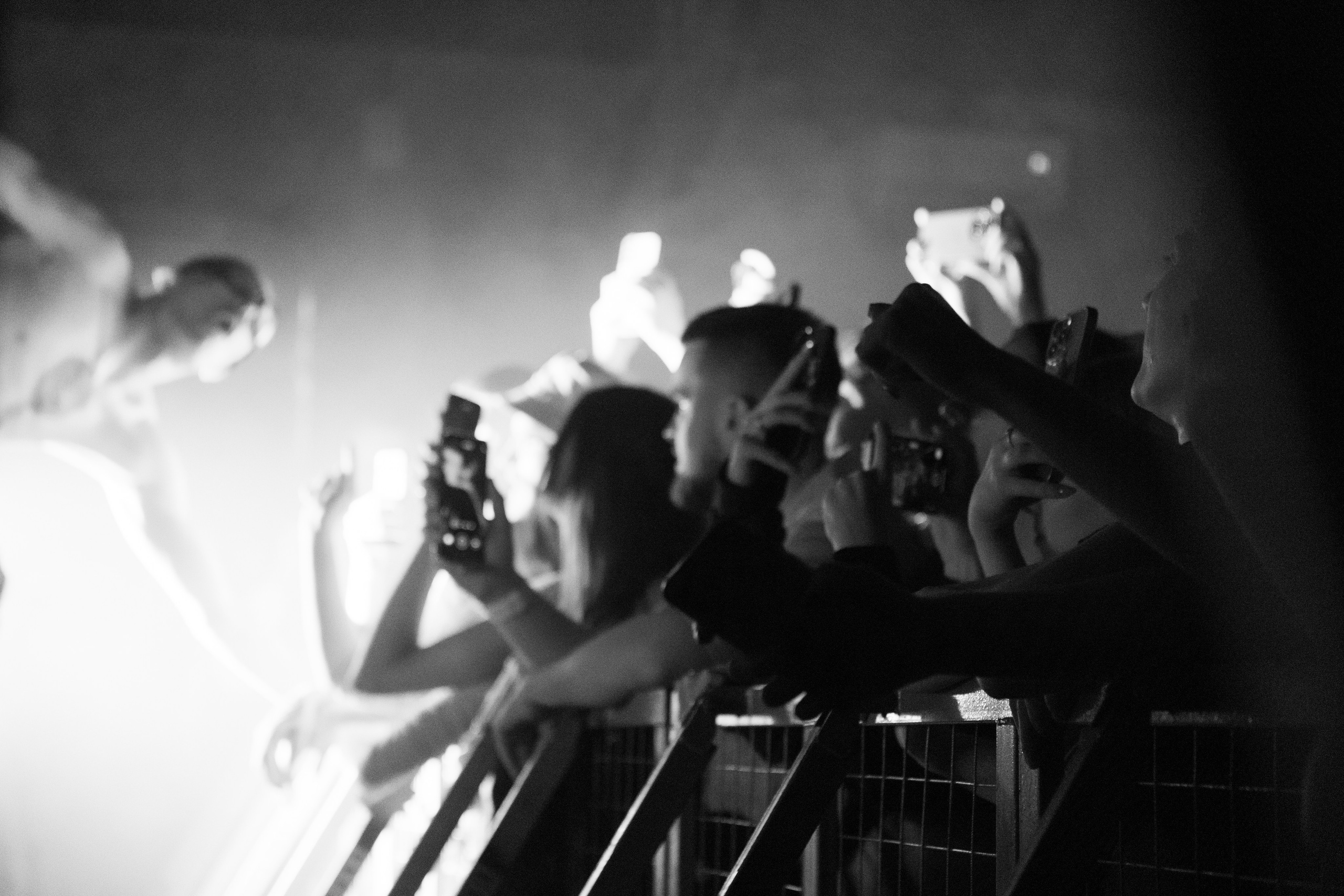 Хаски — Смоленск 23.05.2025. KiPPER Gallery — Фотограф