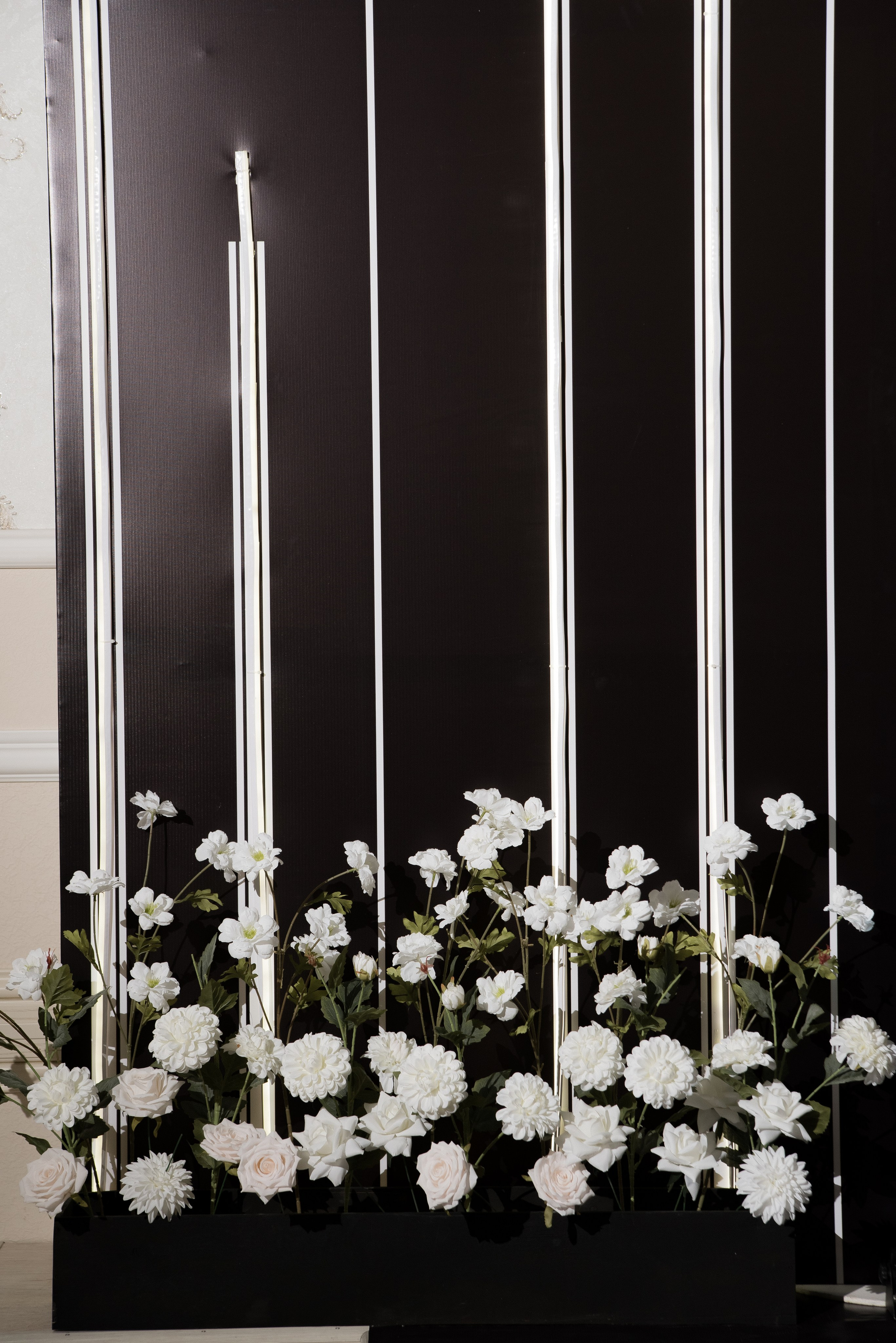 фотозона белореченск