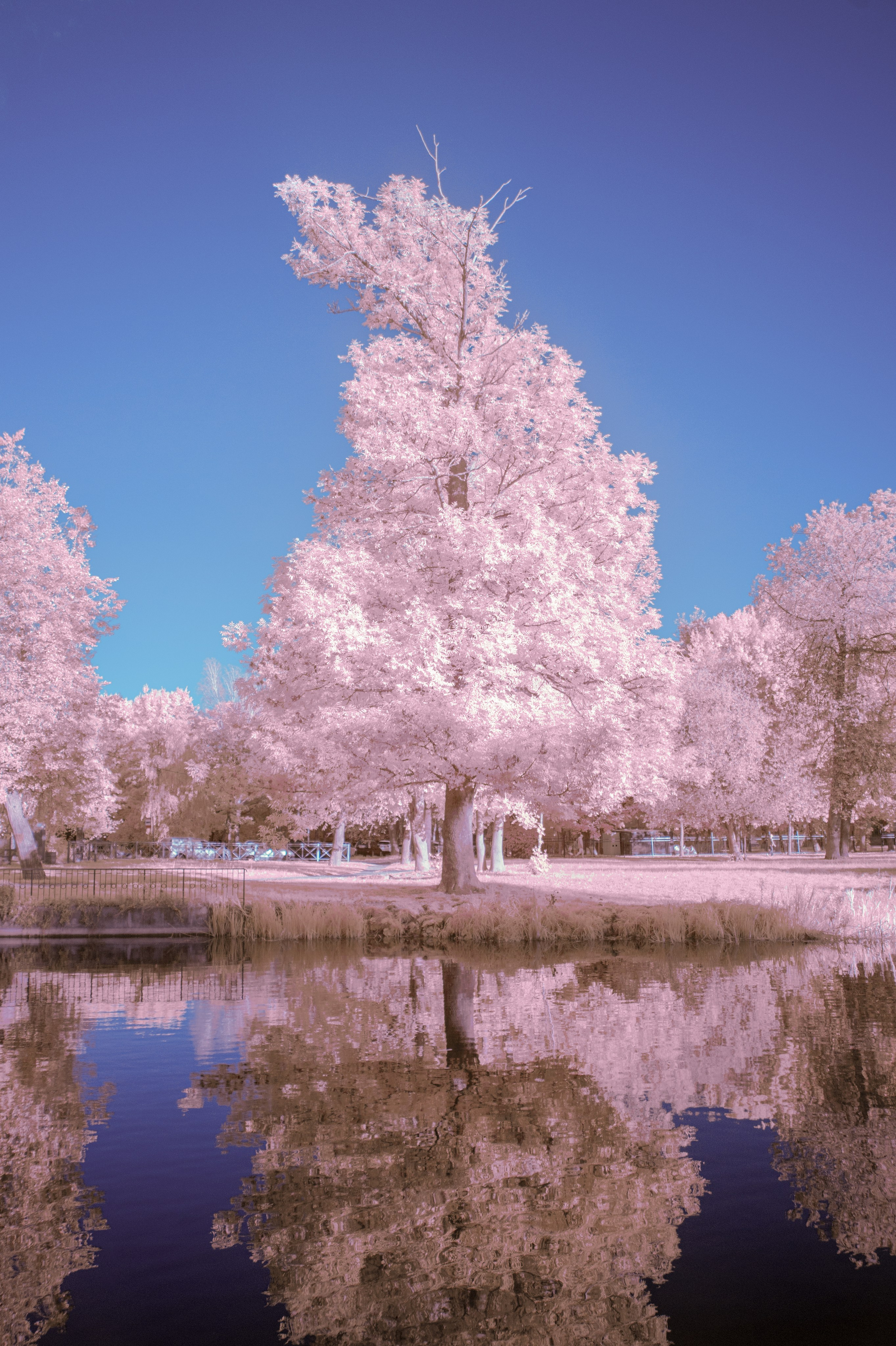 Infrared. AThumbnails