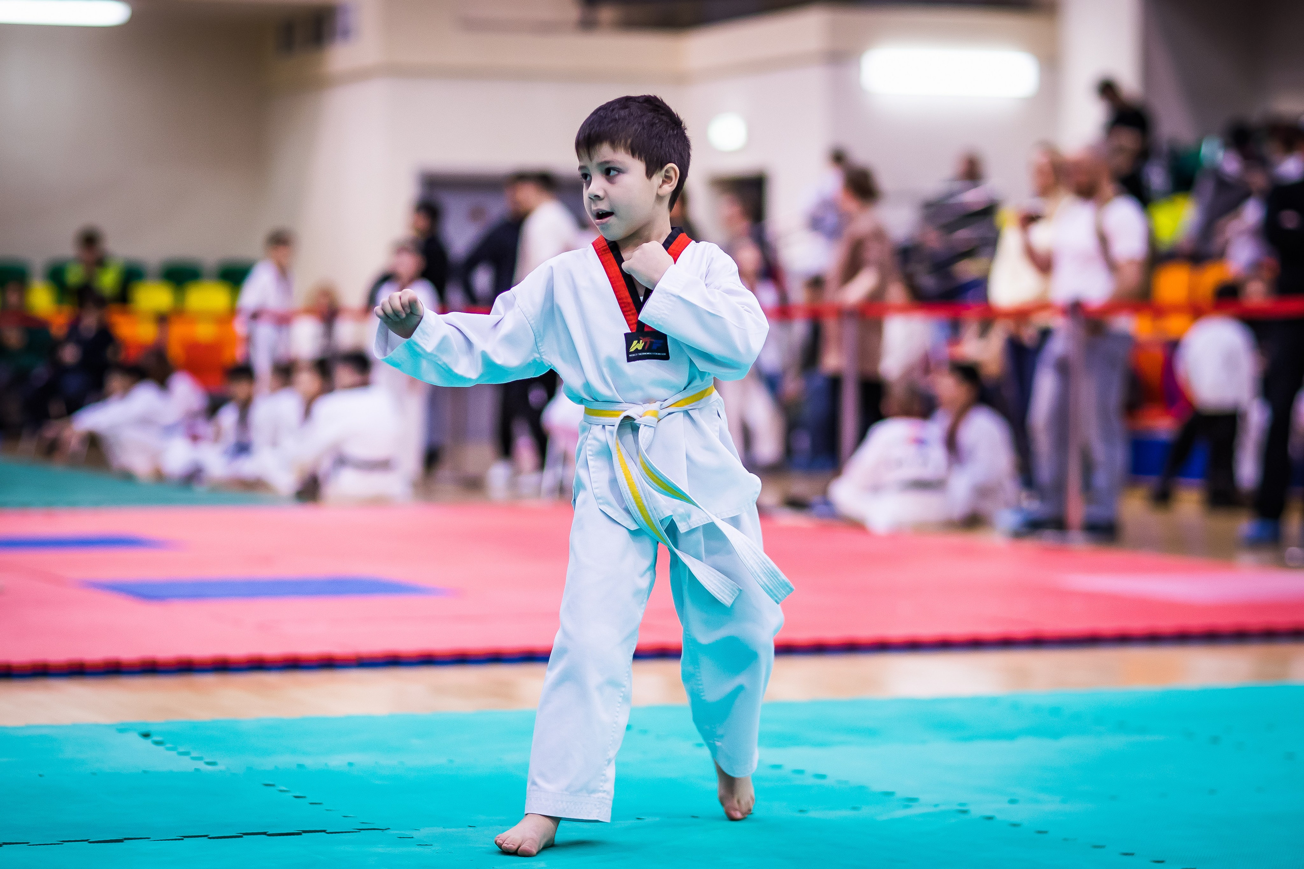 Турнир Федерации детского тхэквондо России по дисциплине ПХУМСЭ. Спортивный фотограф Максим Серегин