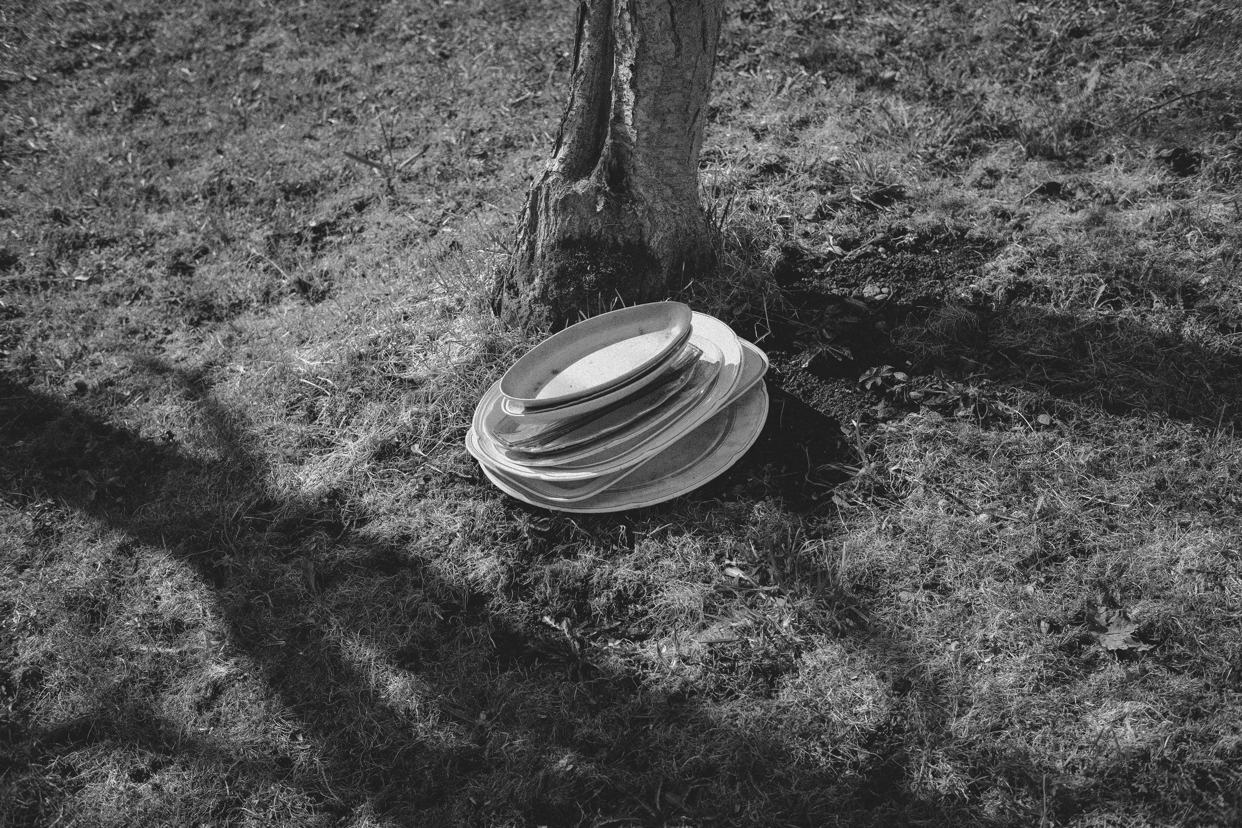 Жизнь сада. Works