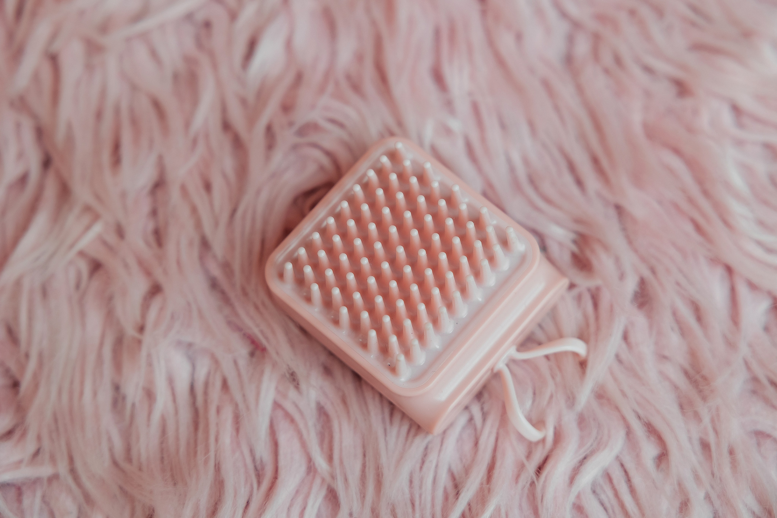 Контент съёмка для грумера. СВАДЕБНЫЙ ФОТОГРАФ НАТАЛИКА