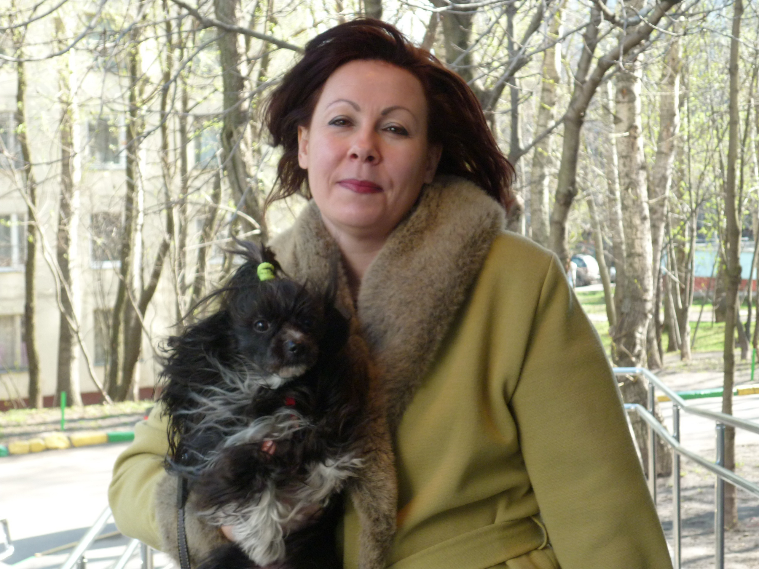 Star Universe. Chinese Crested Dog Kennel Poale Ell