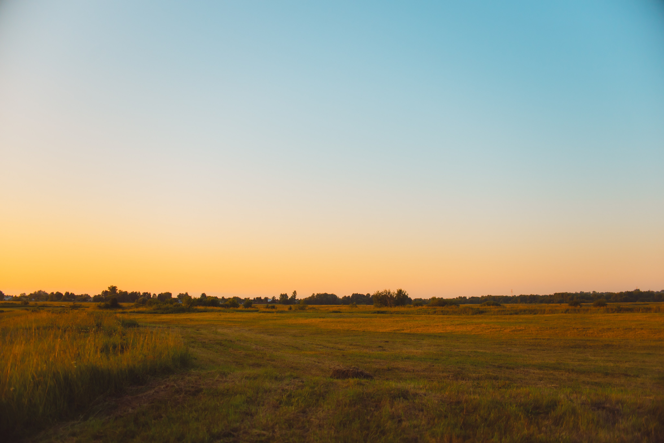 Наташа, Агата, Назар и Август — 17.07.2025. Фотограф — Анималист | Анна Абрамова
