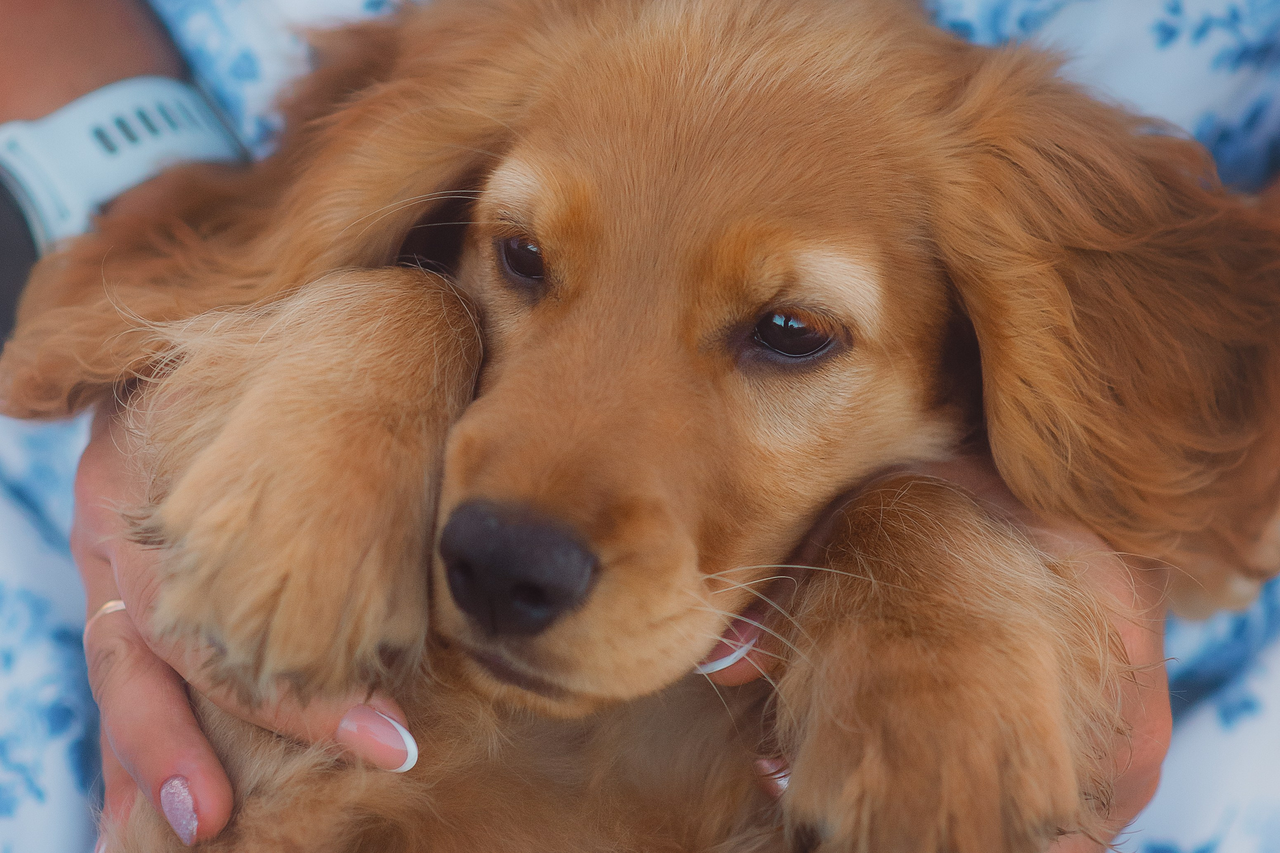 Наташа, Агата, Назар и Август — 17.07.2025. Фотограф — Анималист | Анна Абрамова