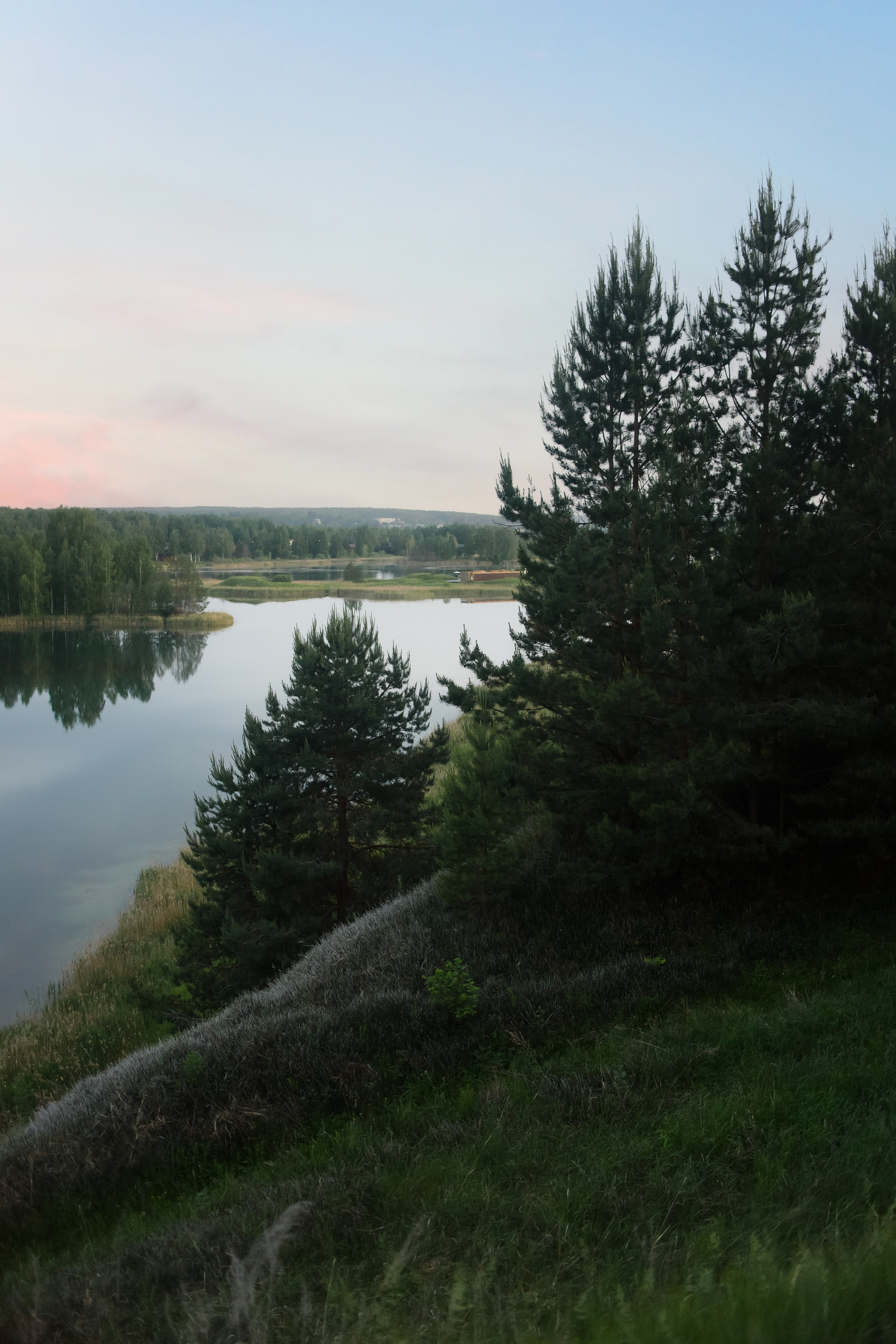 Максим, Надя, Шелби и Рой — 31.05.2025. Фотограф — Анималист | Анна Абрамова