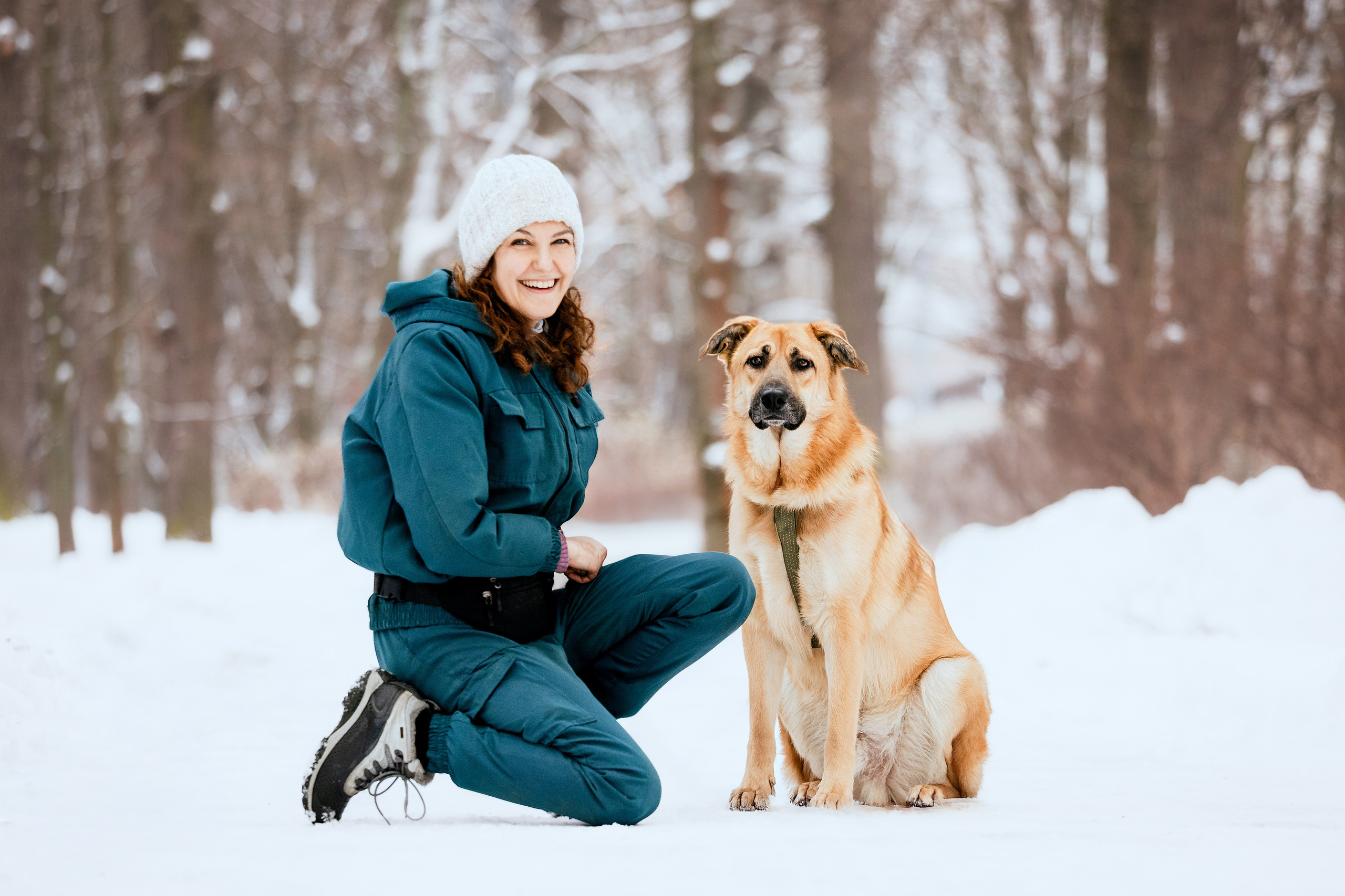 Собаки из приюта Дубовая роща зима. Фотограф-анималист Татьяна Степанова