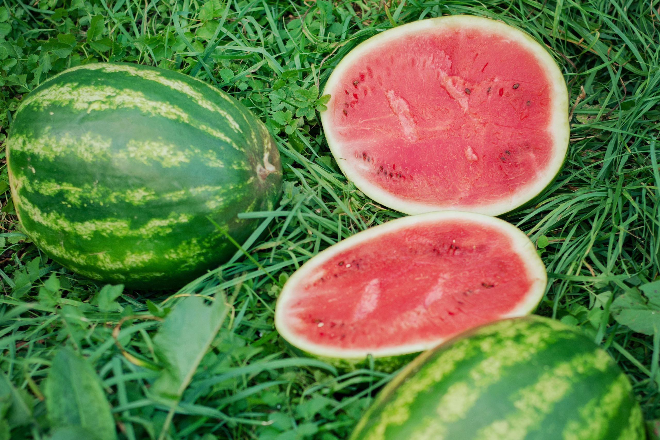 Лето. Лина Курочка — ваш фотограф