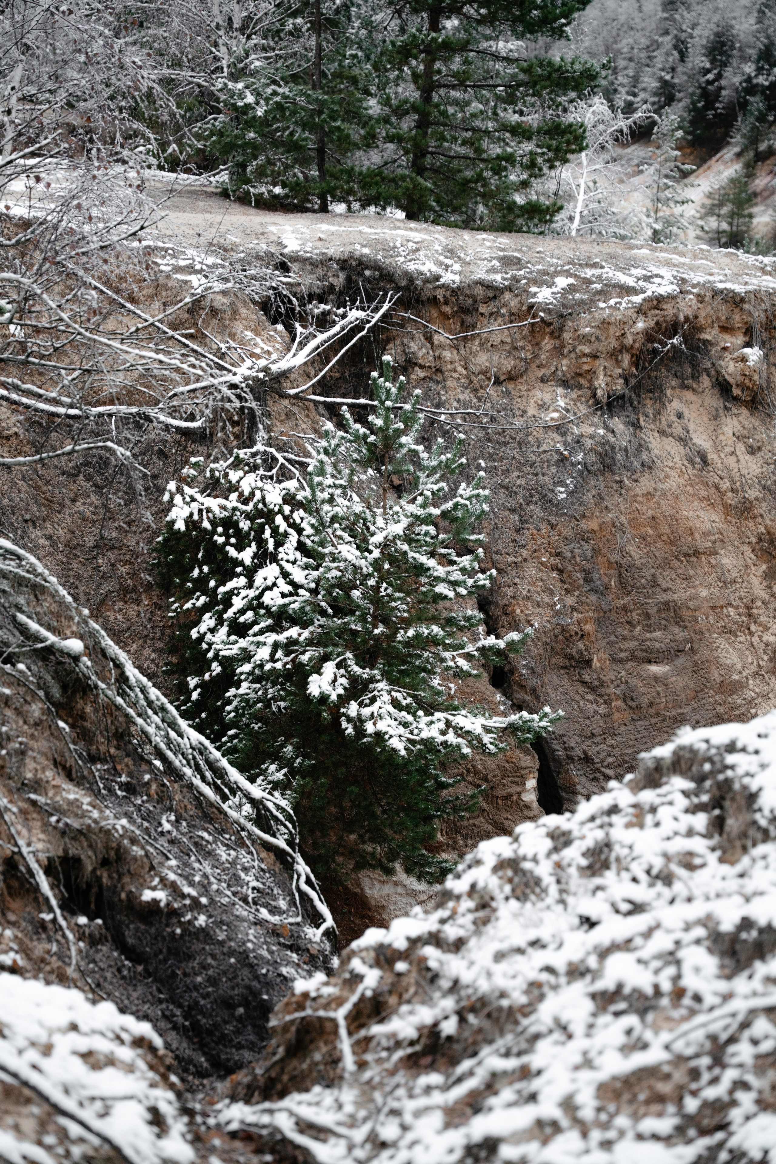 Суворовские карьеры. Vlad Trykov