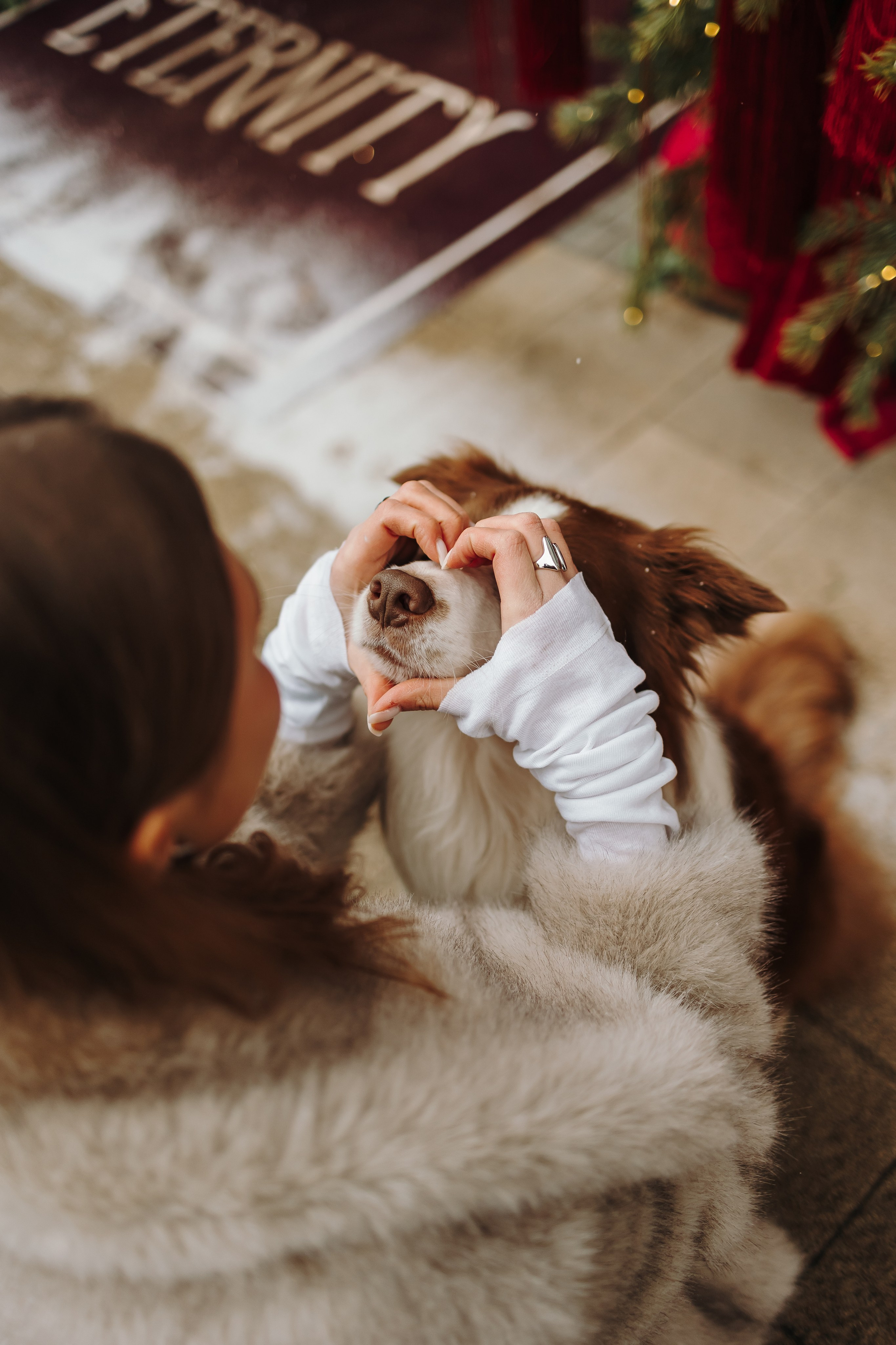 Маша и Брауни. Фотограф-анималист в Санкт-Петербурге Алина Яхонт