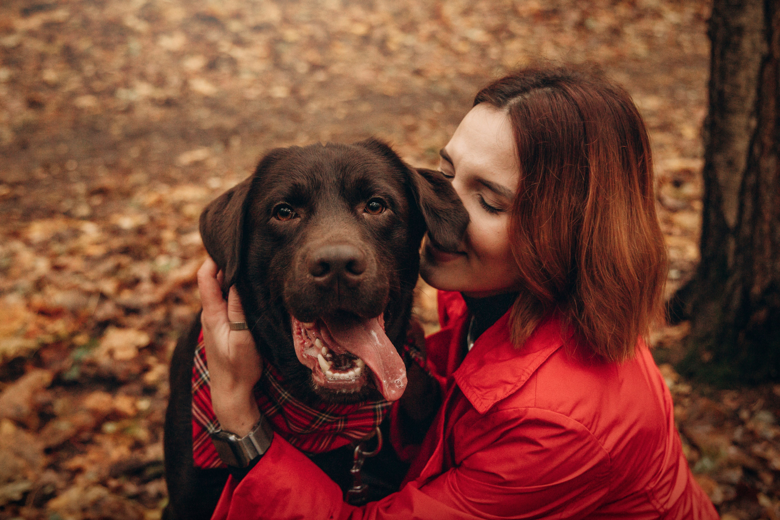 Арина и Сэмми. Фотограф — Анималист | Санкт-Петербург