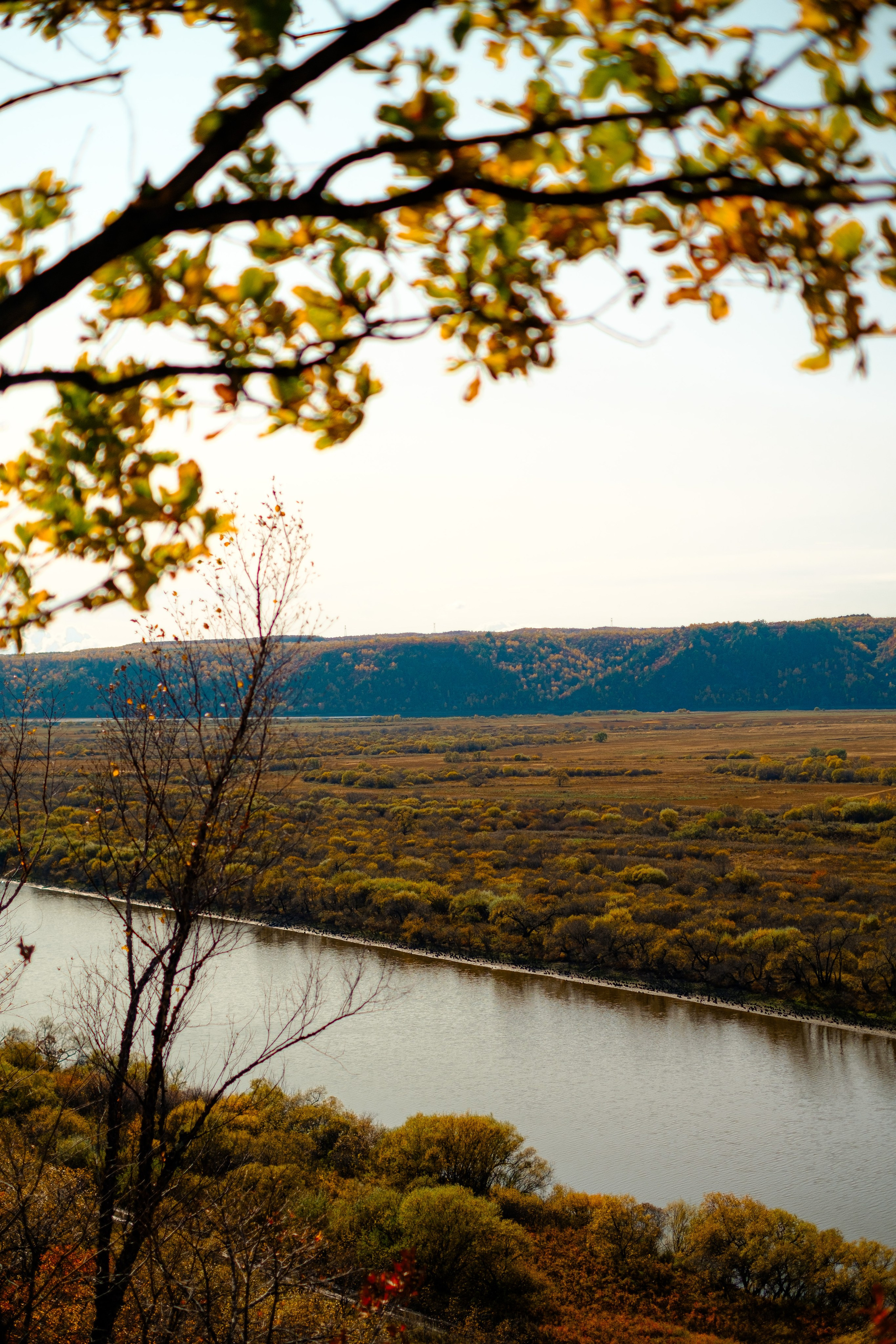 Михайловские столбы осенью. Фотограф Благовещенска Яна