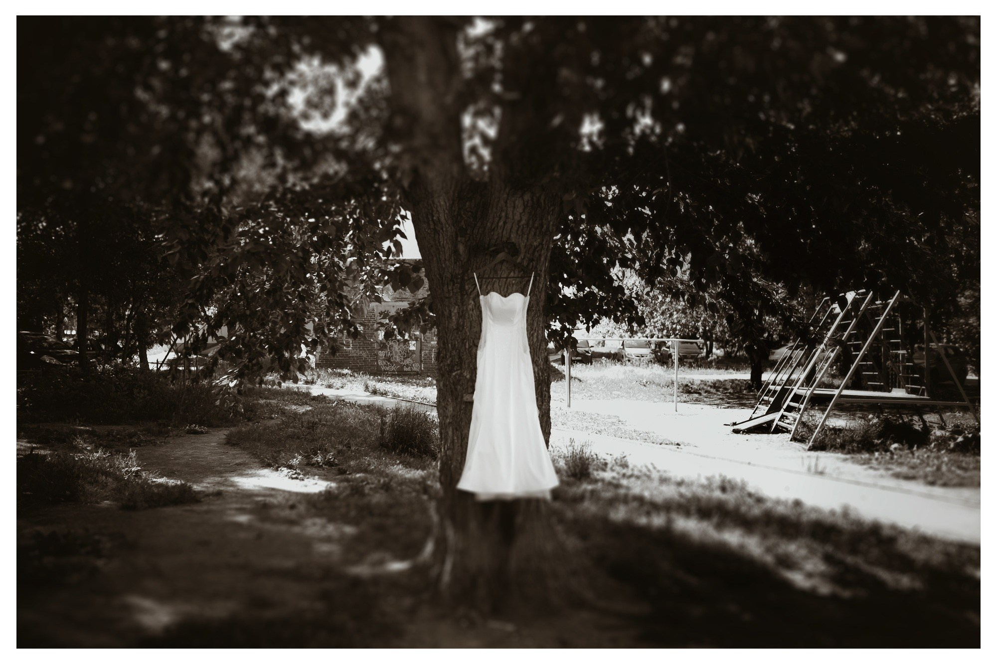 Свадьба Вовы и Кати. Фотограф Георгий Сапожников