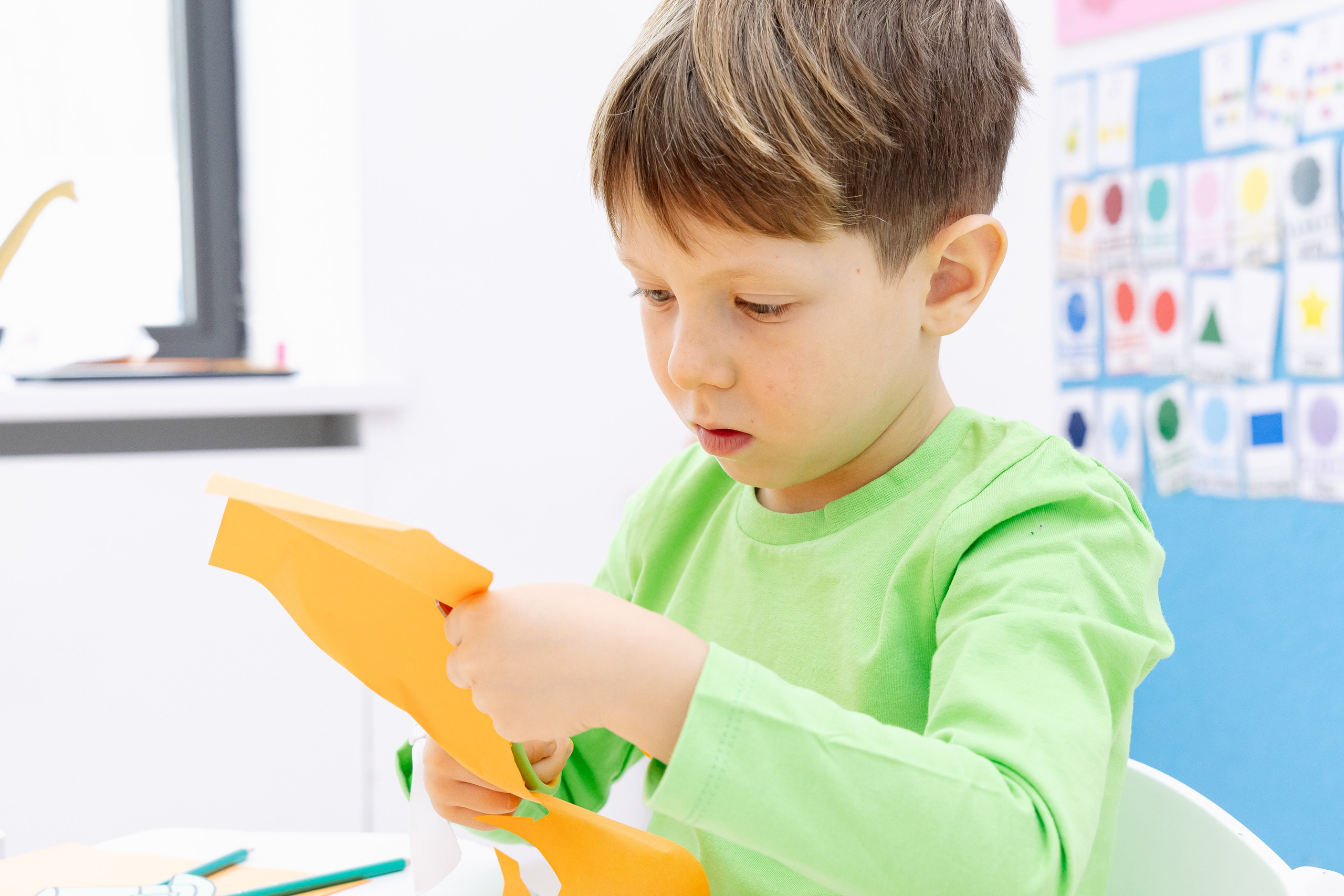 Школа и сад