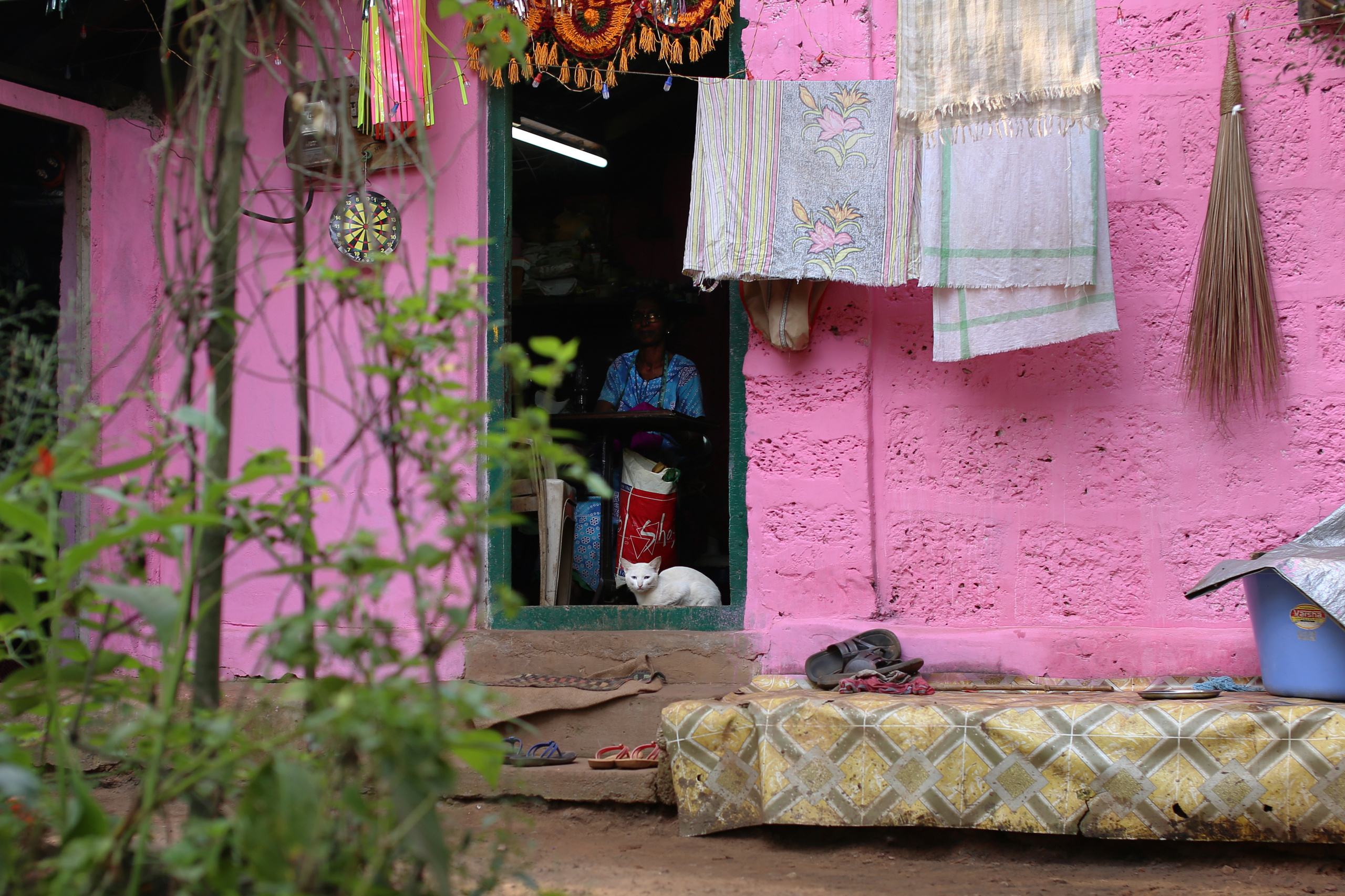 Индия 2019-2020. Фотограф Юля Постнова