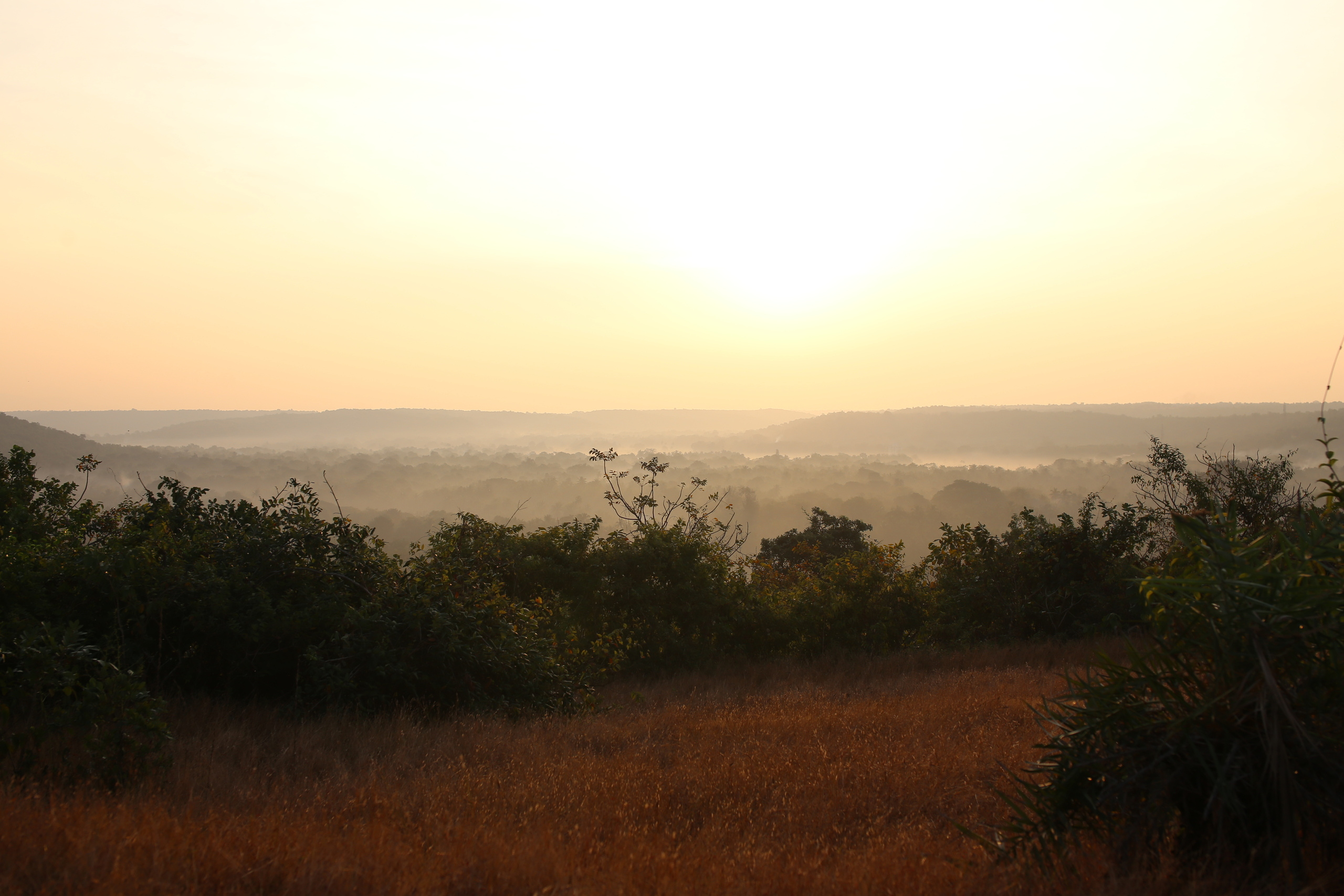 Индия 2019-2020. Фотограф Юля Постнова