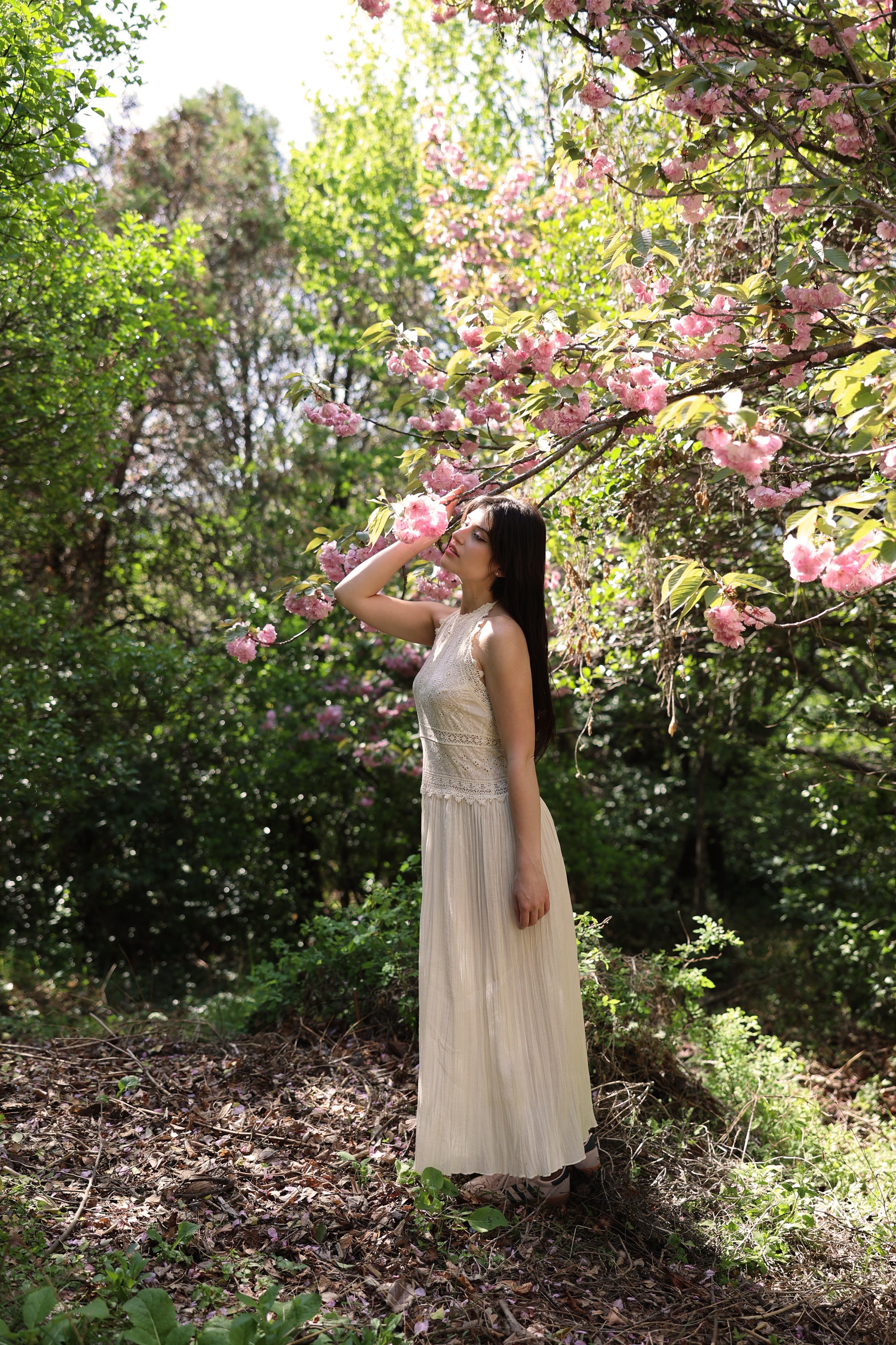 Busan Photographer. Photographer in Busan | Royal Cherry Blossom Solo Photoshoot
