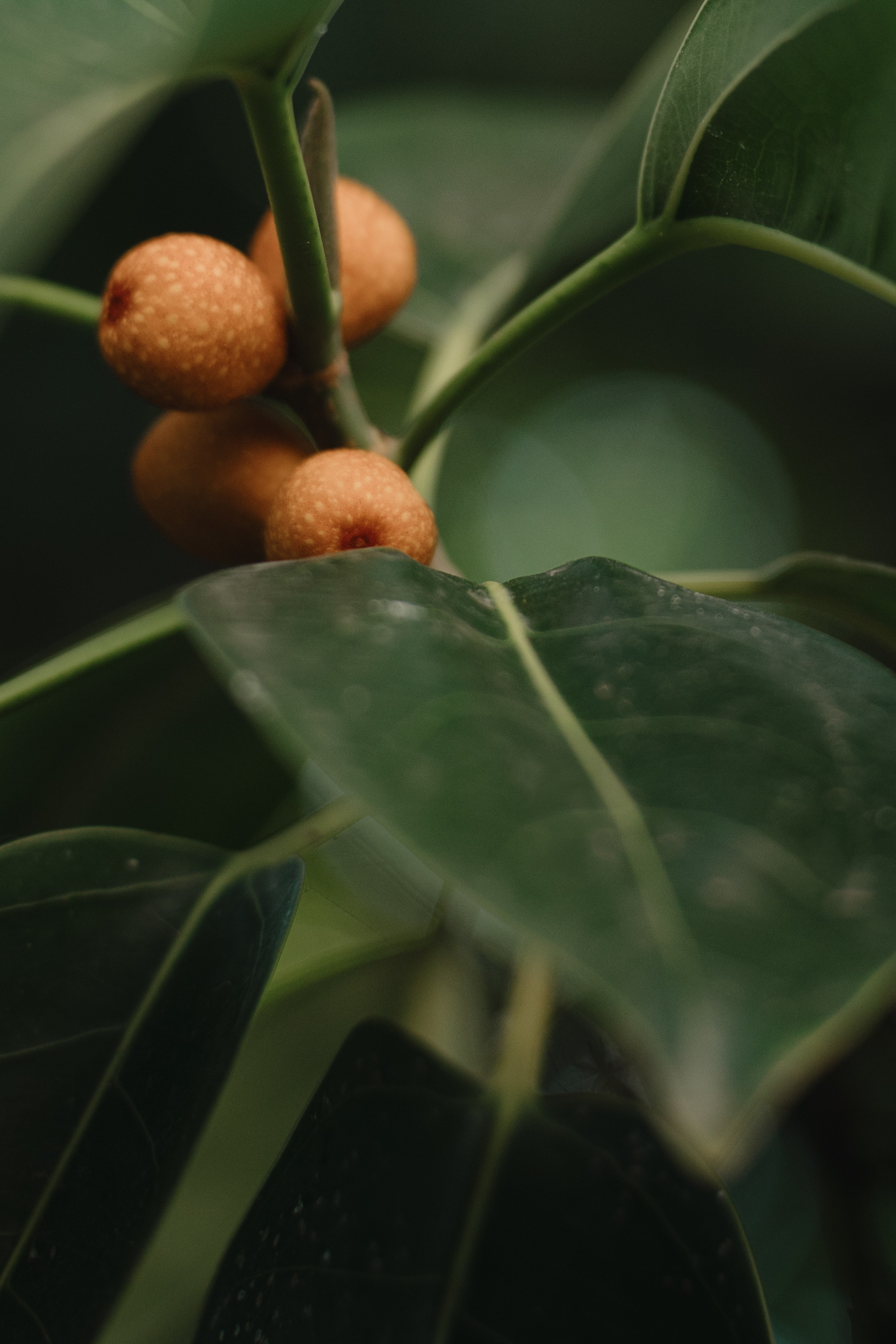 Casa Sur. Wedding & Documentary Photographer based in Nuremberg — available across Europe & Turkey | Vitalii Nasonov