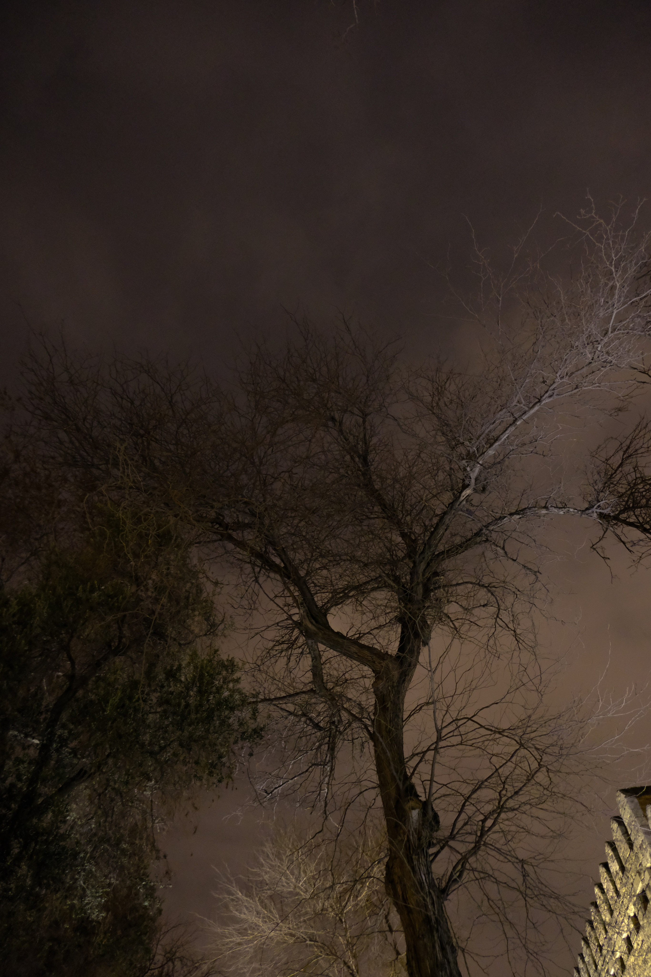 Головорезы. Нагаленд. Фотографии из путешествий