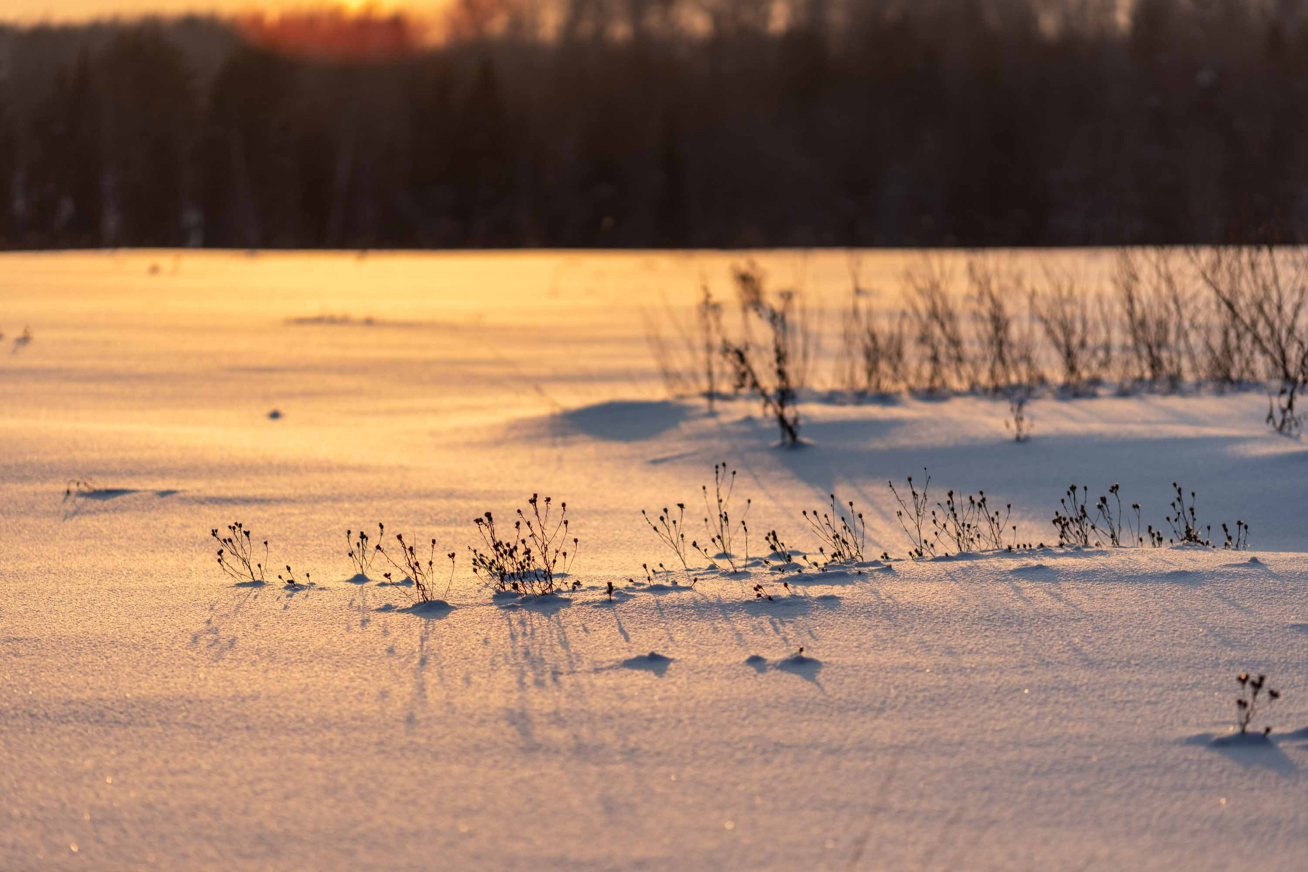 Природные пейзажи. Наталия Клевинскас портретный фотограф в Костроме